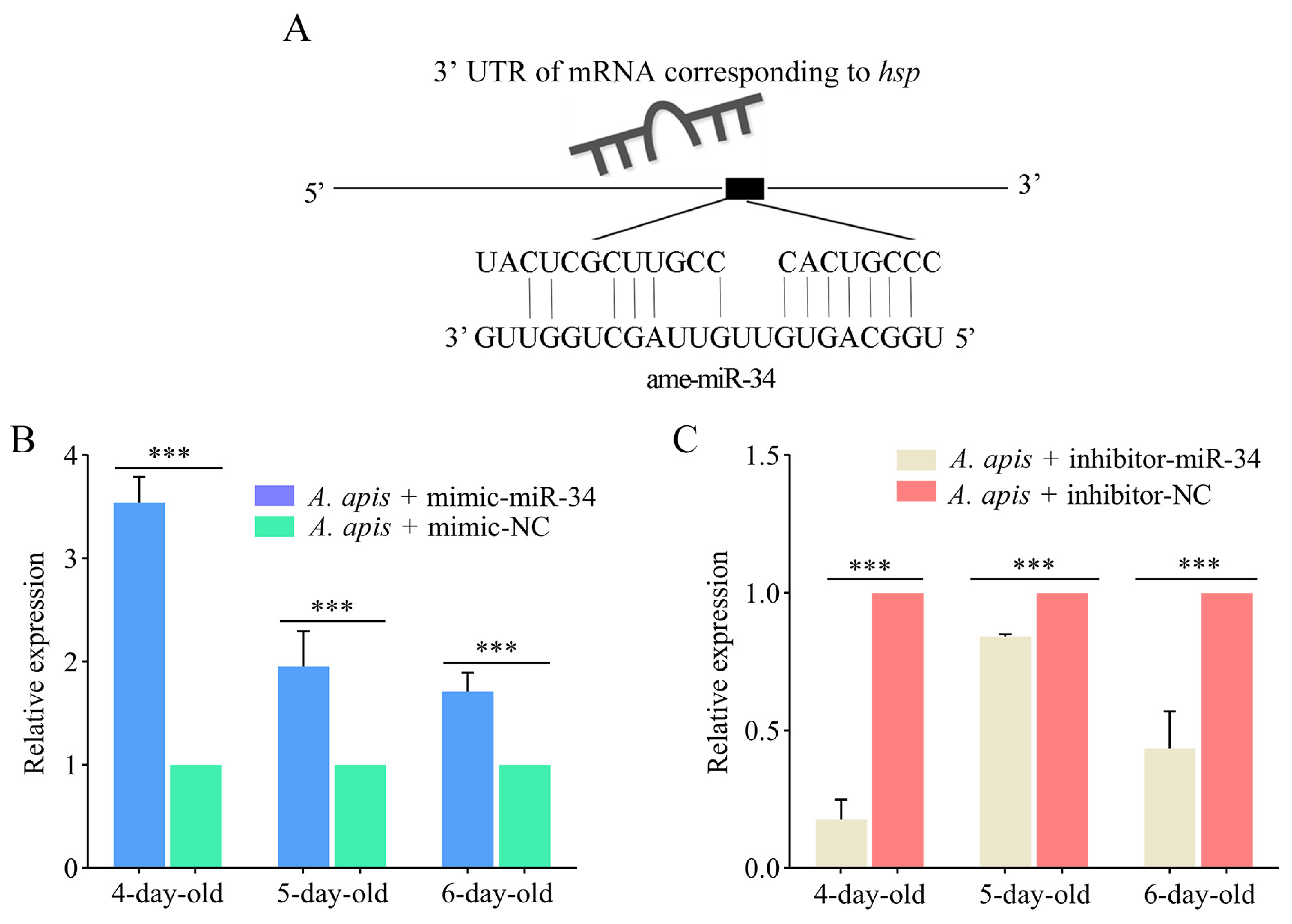 Ijms 24 01214 g007 Ijms 24 01214 g007