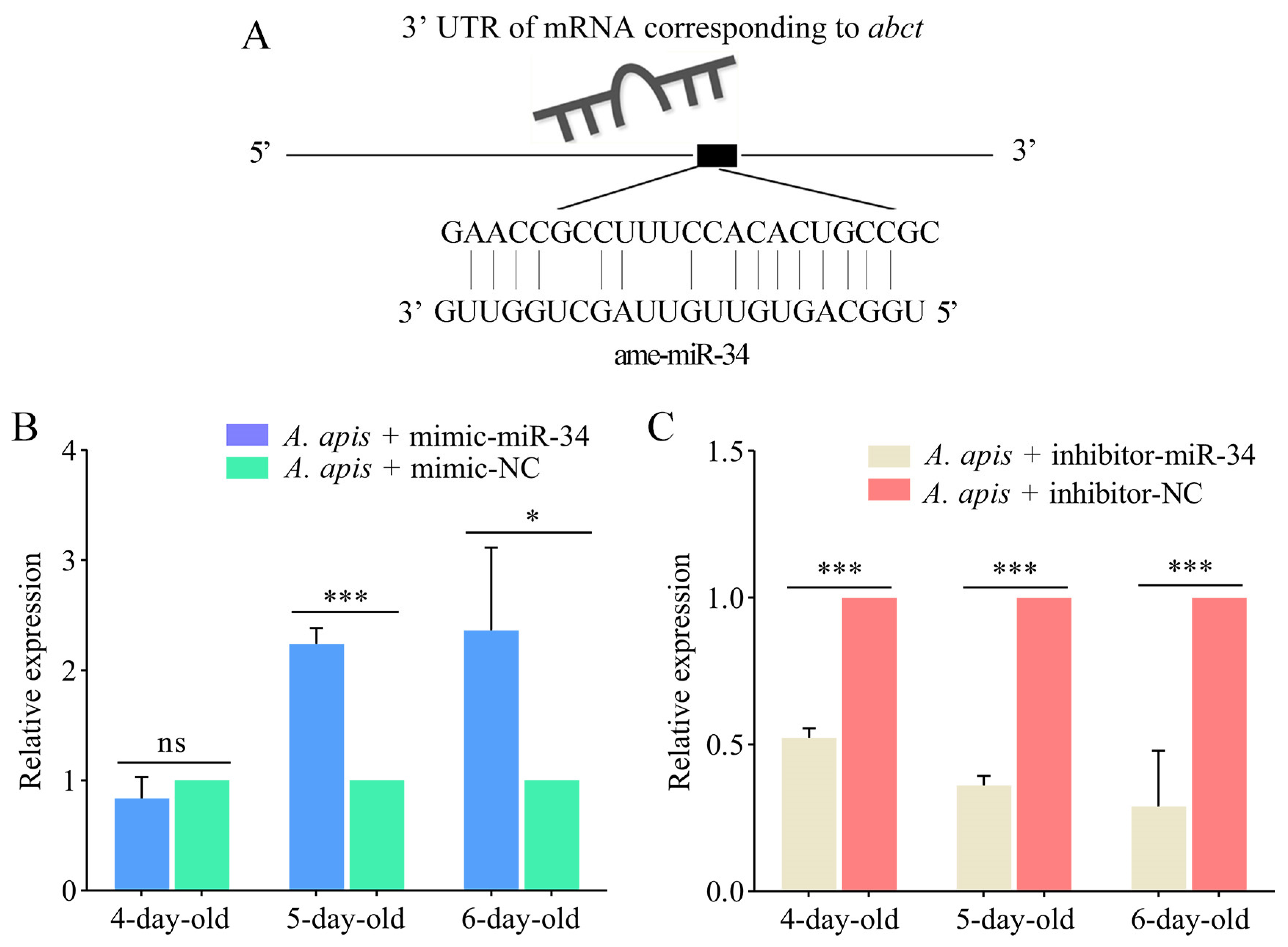 Ijms 24 01214 g008 Ijms 24 01214 g008
