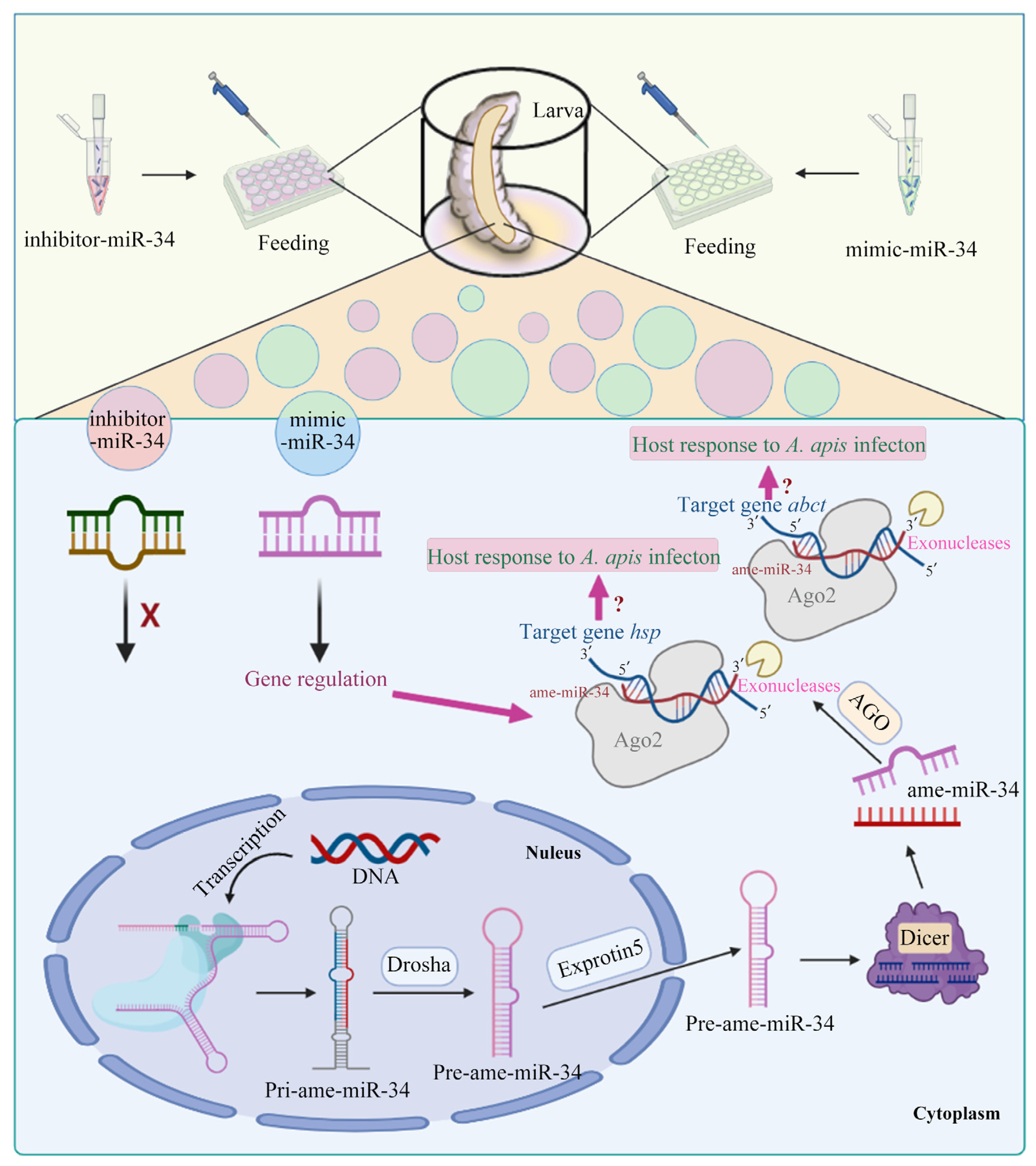 Ijms 24 01214 g009 Ijms 24 01214 g009