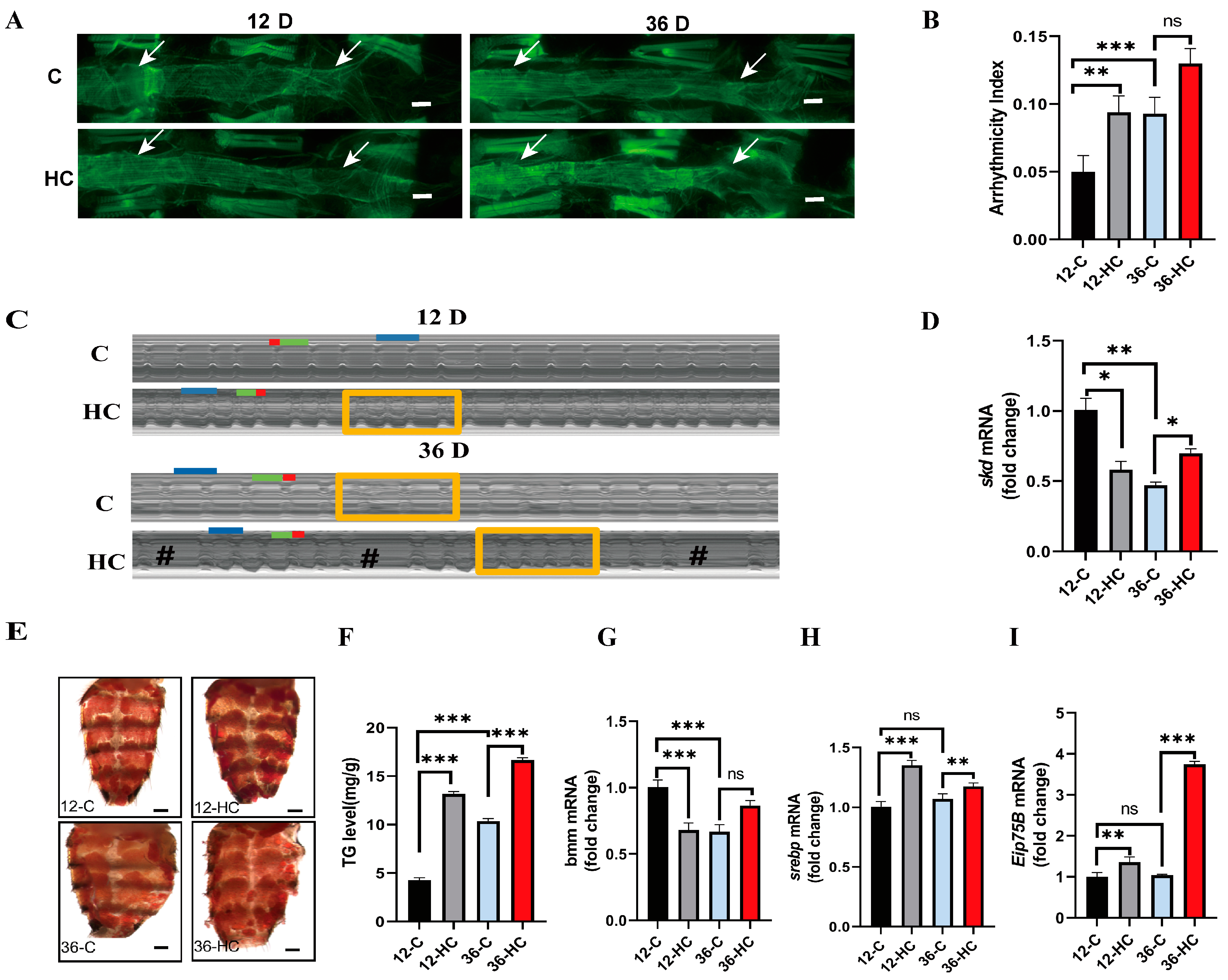 Ijms 24 01216 g001 Ijms 24 01216 g001