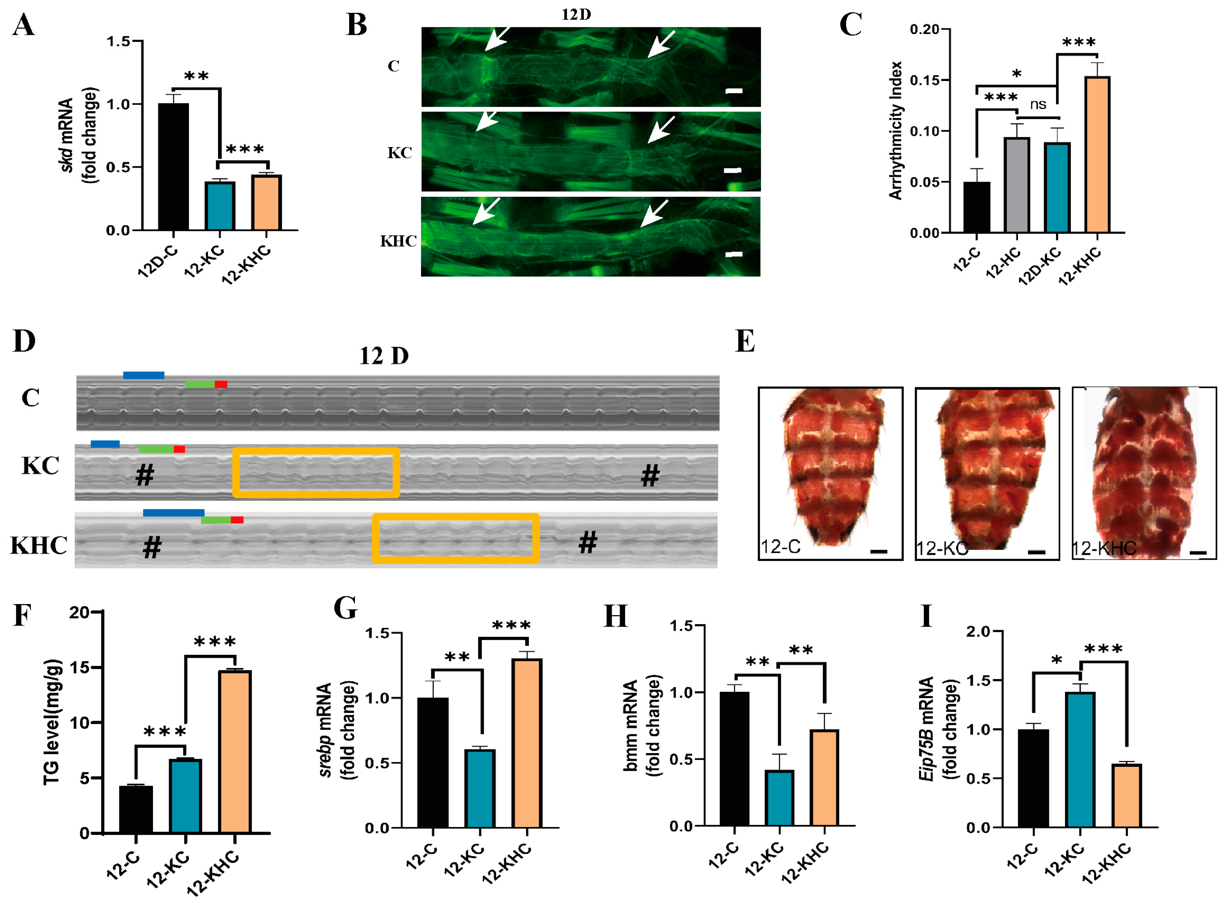 Ijms 24 01216 g002 Ijms 24 01216 g002
