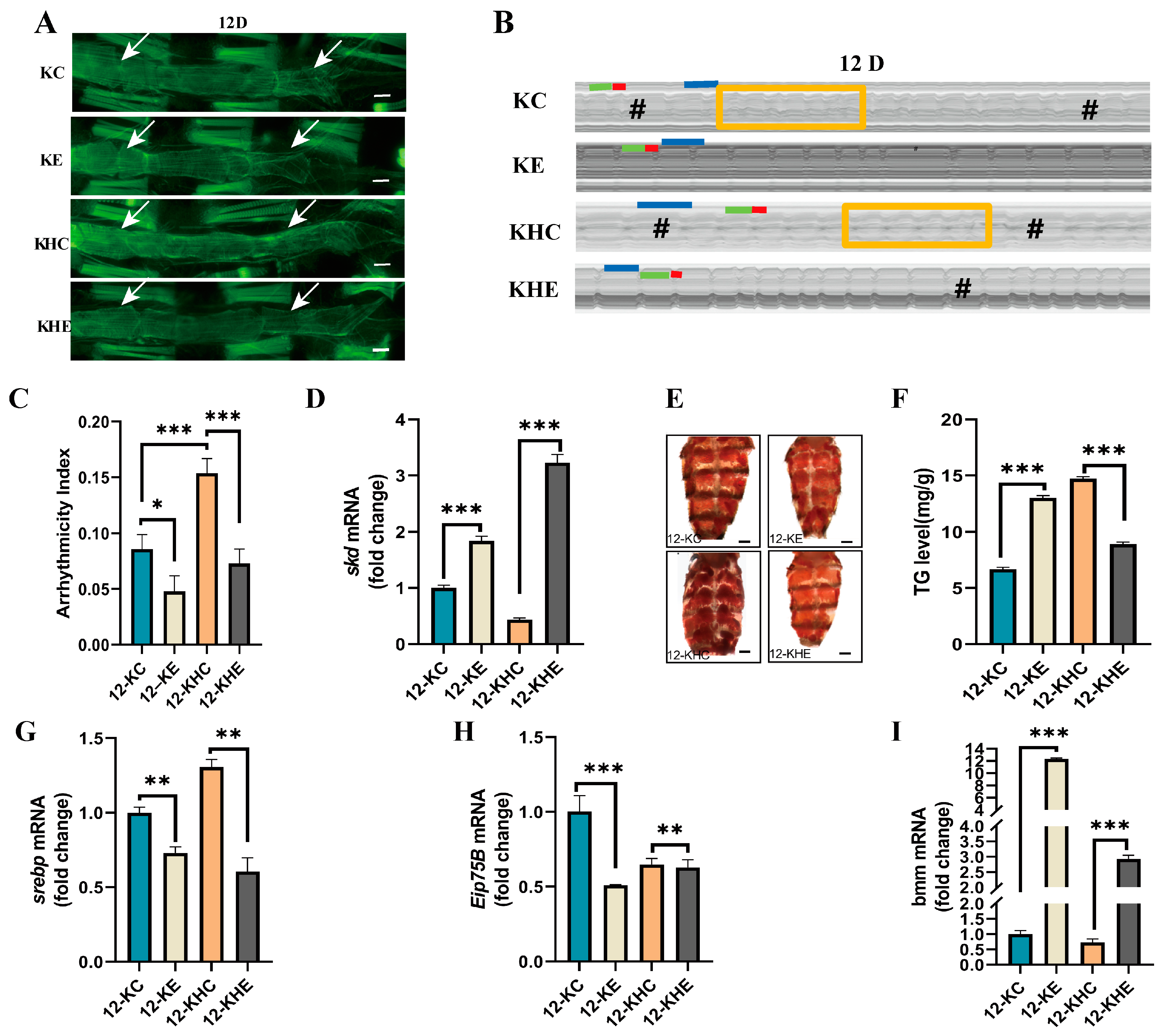 Ijms 24 01216 g004 Ijms 24 01216 g004