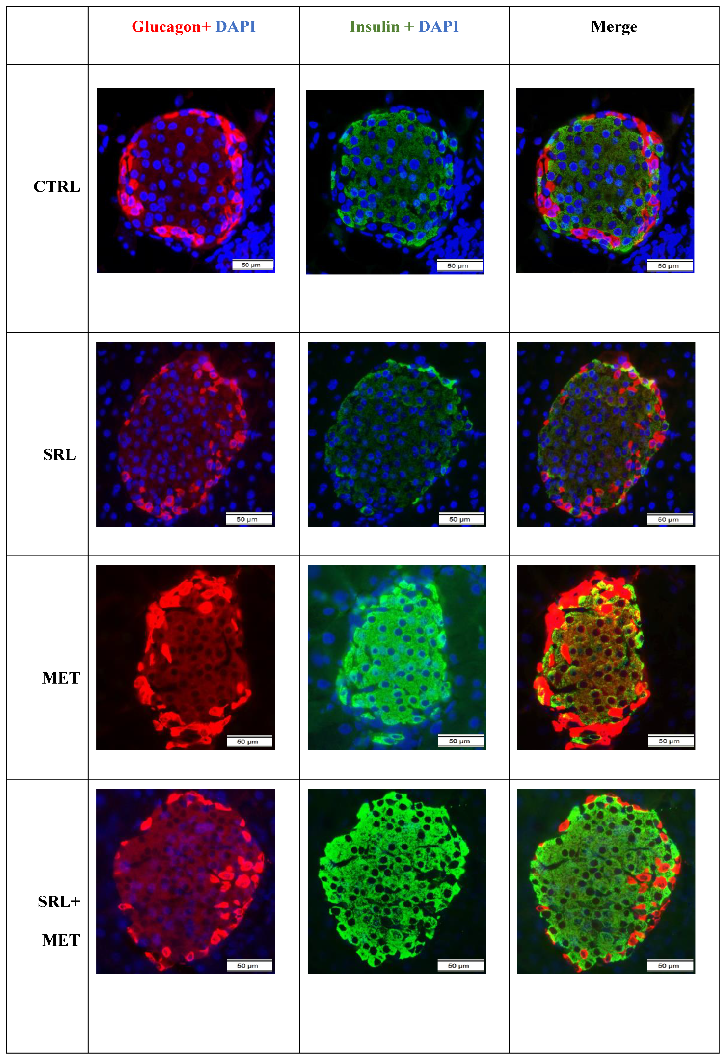 Ijms 24 01223 g004 Ijms 24 01223 g004