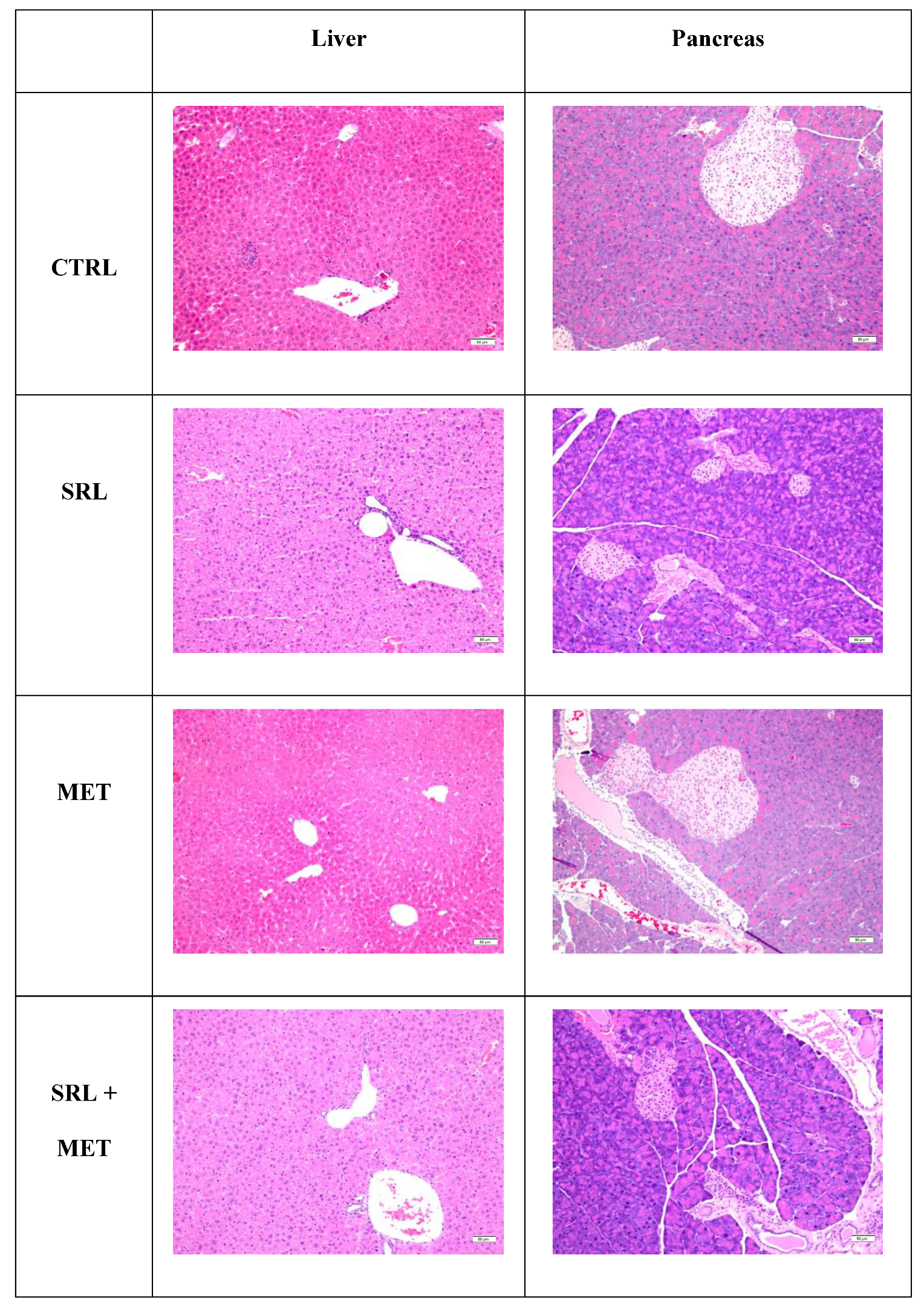 Ijms 24 01223 g007 Ijms 24 01223 g007