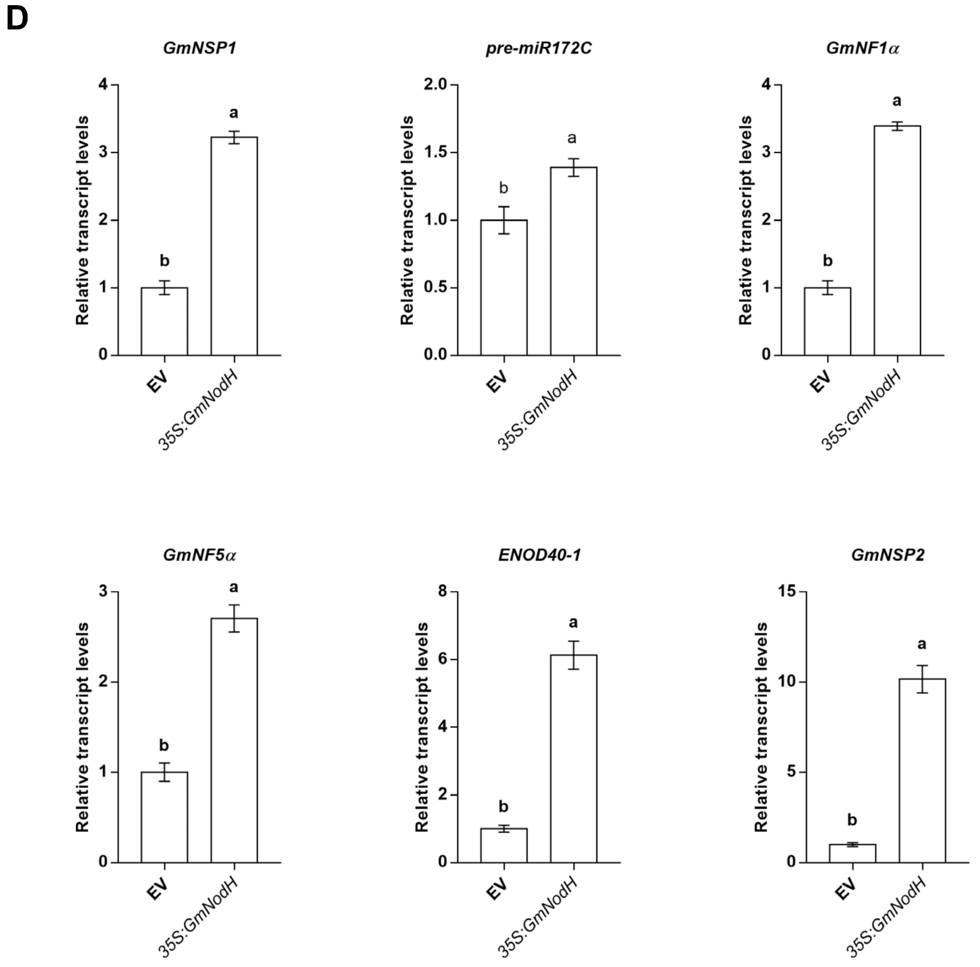 Ijms 24 01225 g003b Ijms 24 01225 g003b