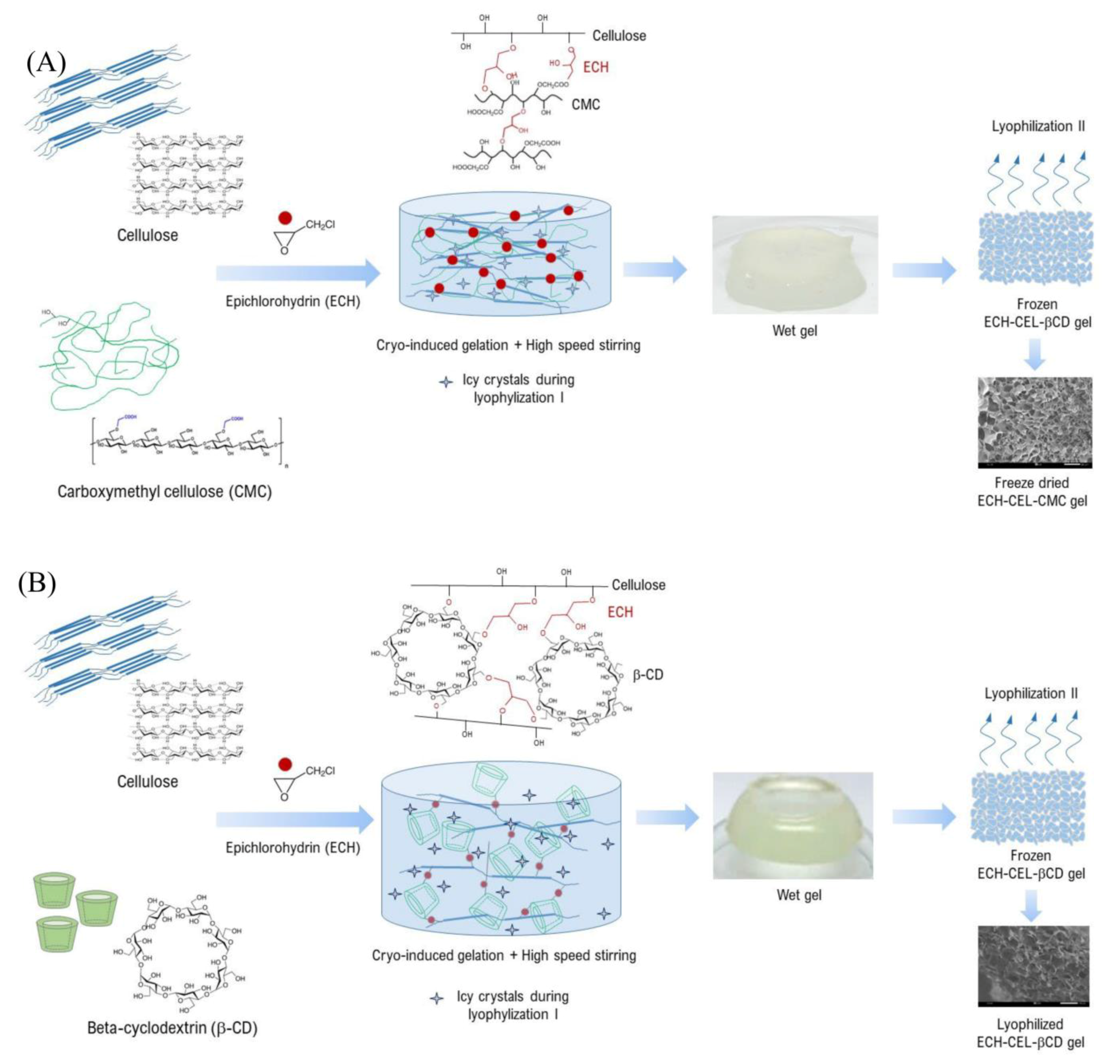 Ijms 24 01230 sch001