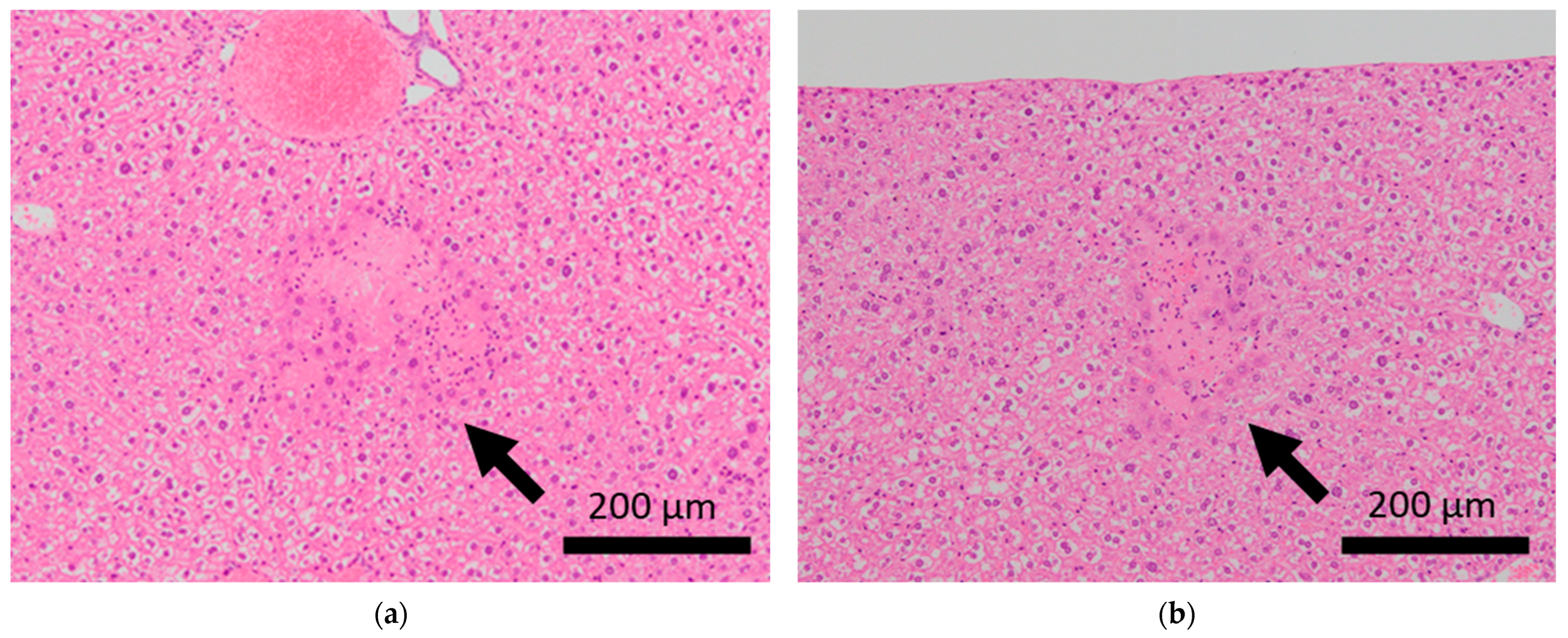 Ijms 24 01237 g003a Ijms 24 01237 g003a