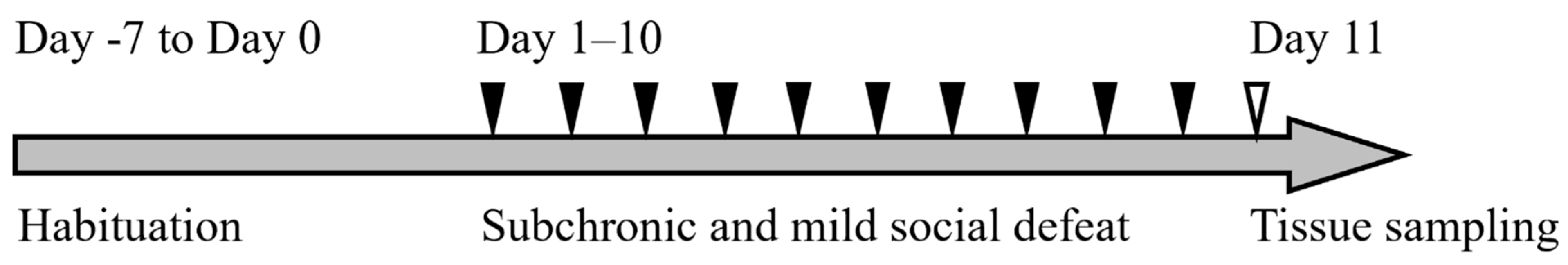 Ijms 24 01237 g005 Ijms 24 01237 g005