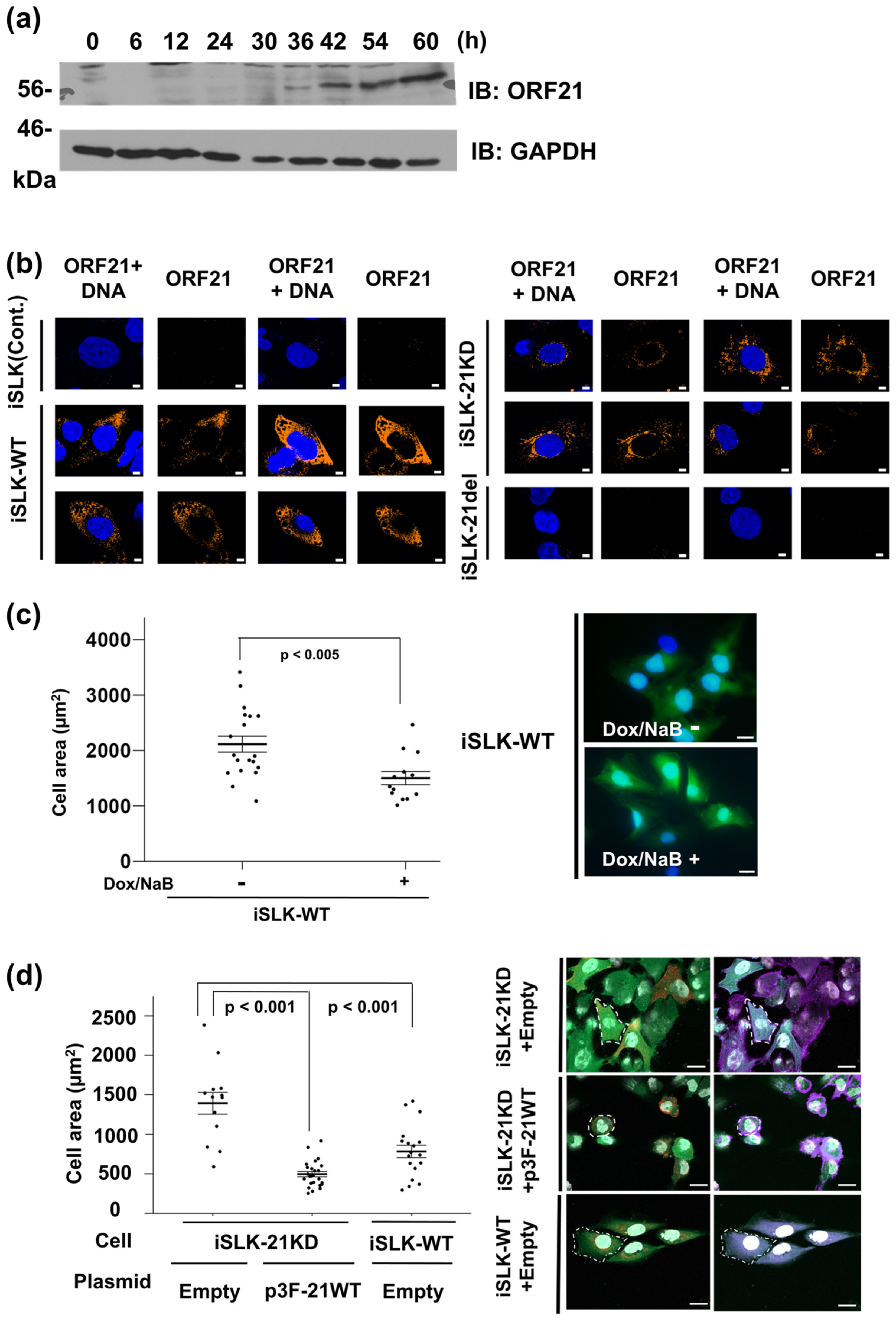 Ijms 24 01238 g002 Ijms 24 01238 g002