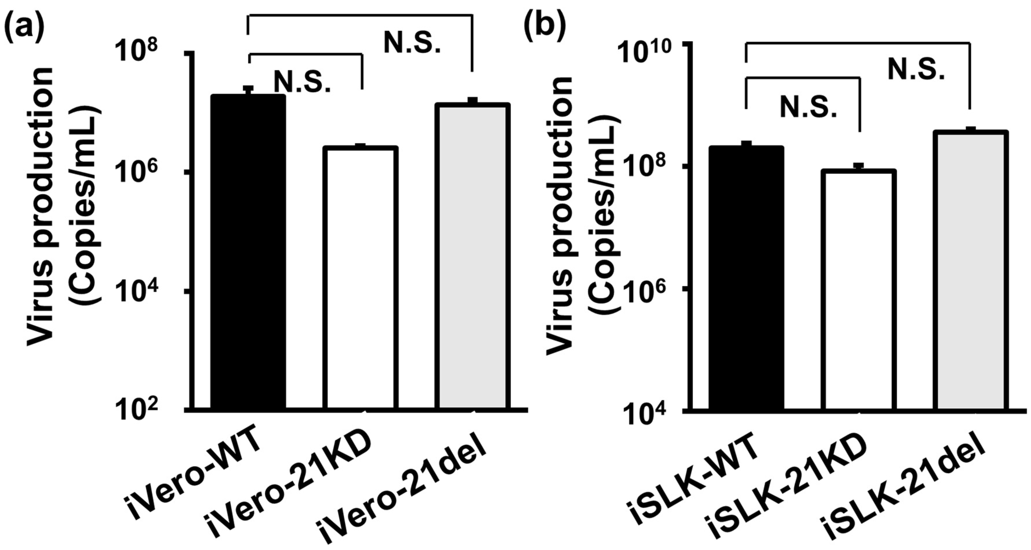 Ijms 24 01238 g004 Ijms 24 01238 g004