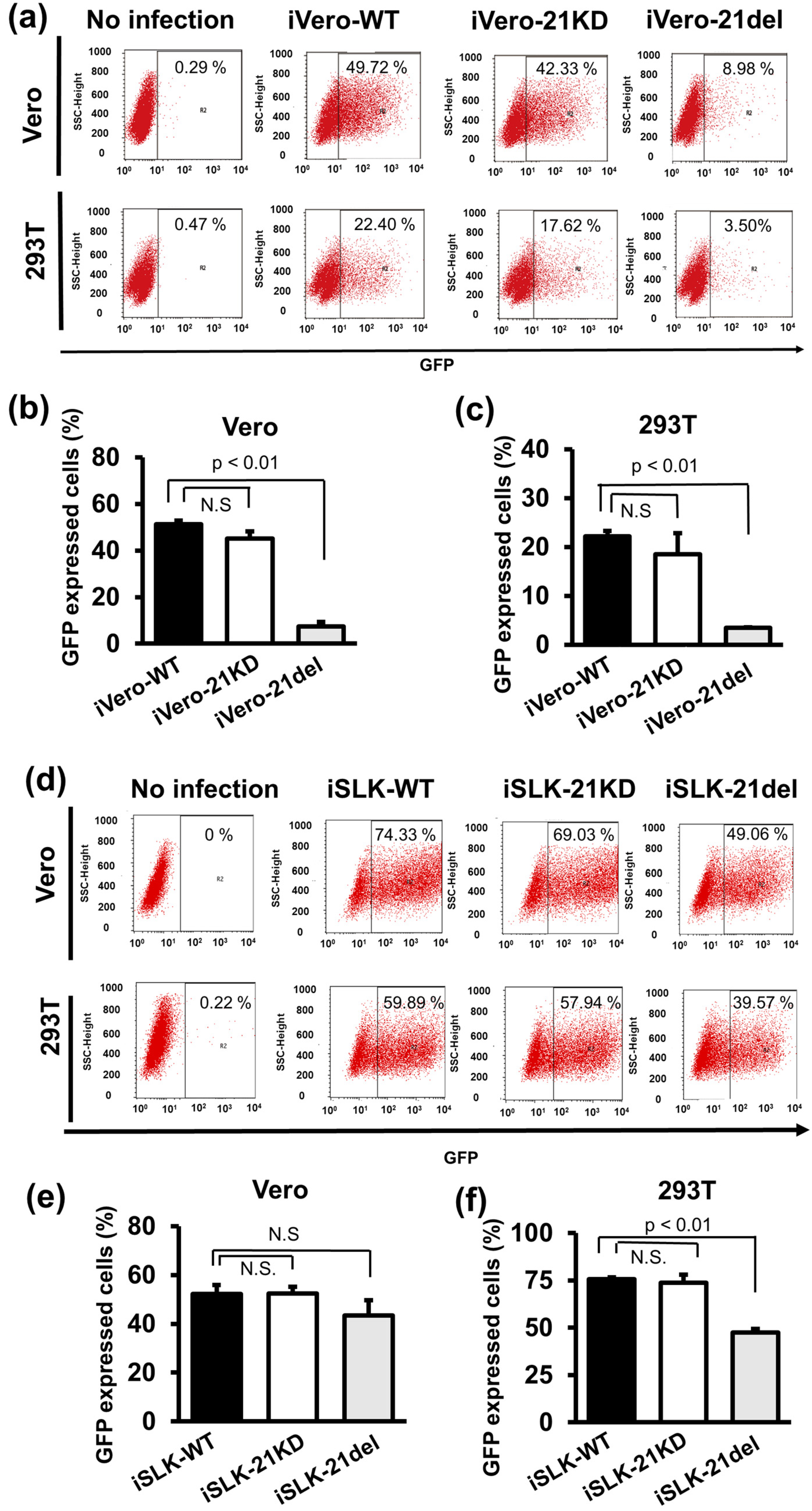 Ijms 24 01238 g005 Ijms 24 01238 g005