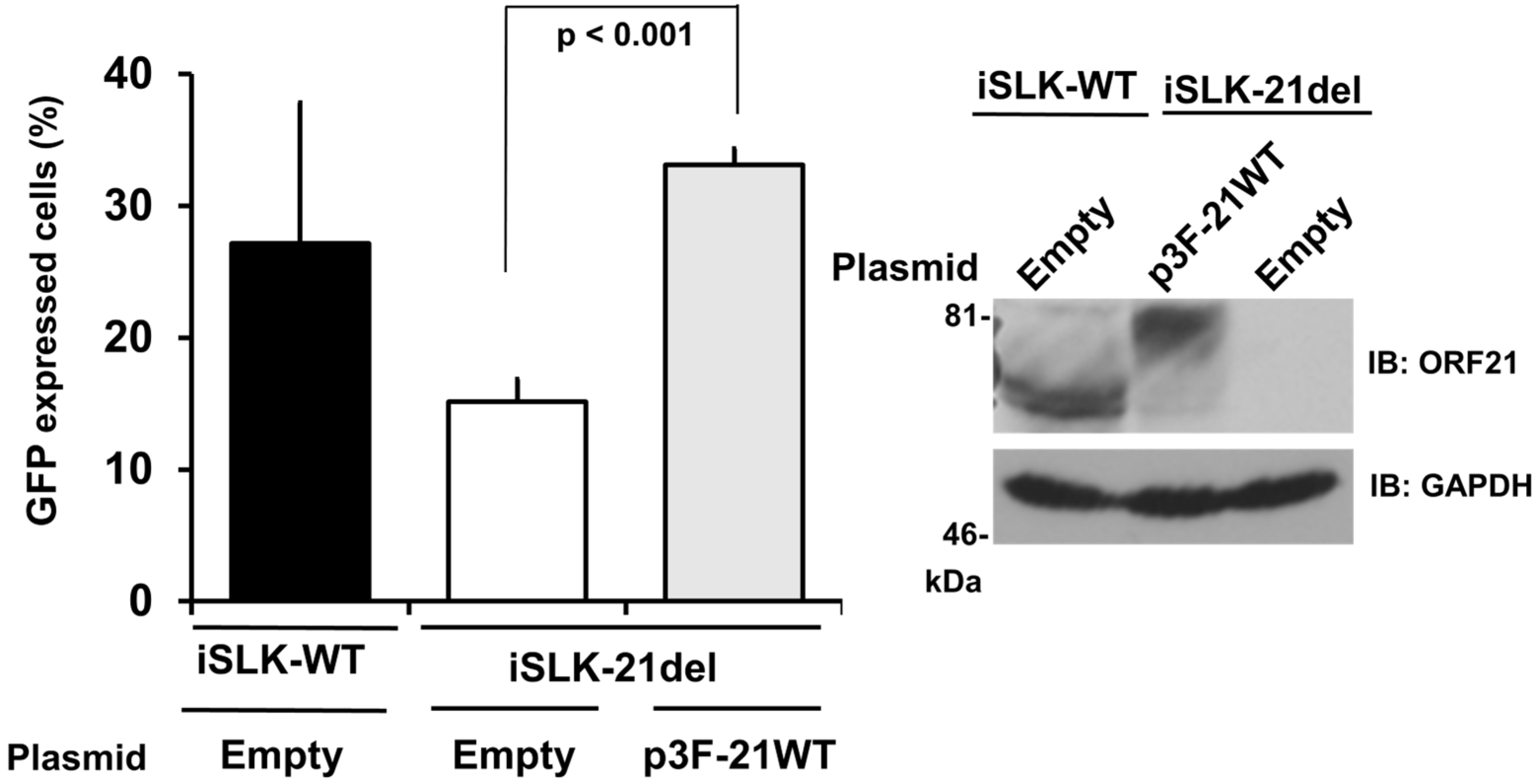 Ijms 24 01238 g006 Ijms 24 01238 g006
