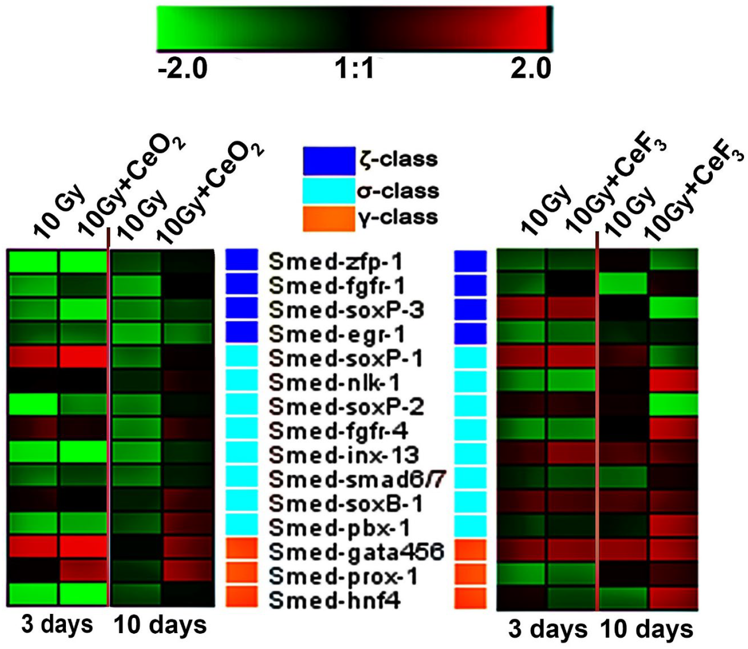 Ijms 24 01241 g006 Ijms 24 01241 g006