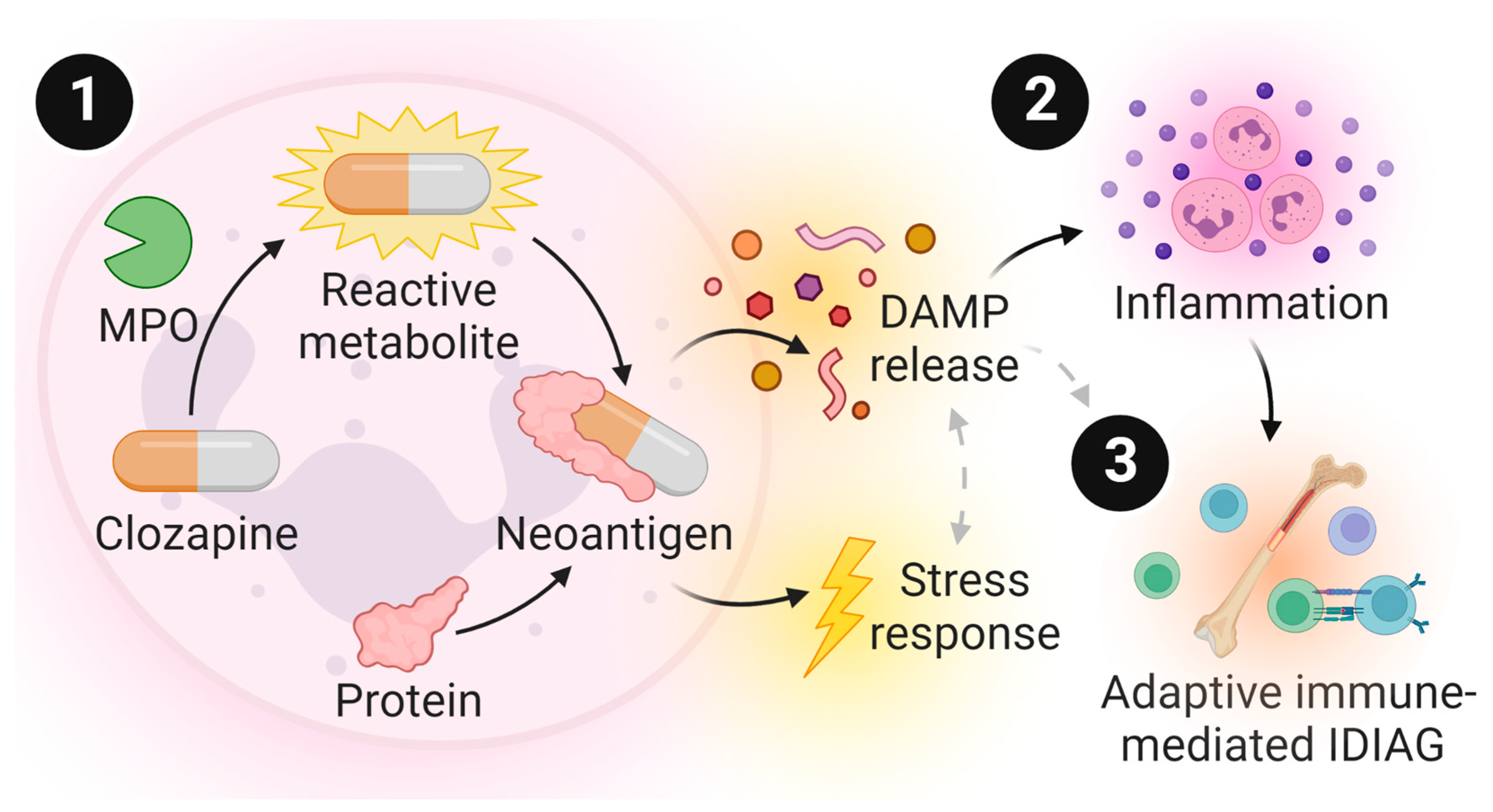 Ijms 24 01243 g008 Ijms 24 01243 g008