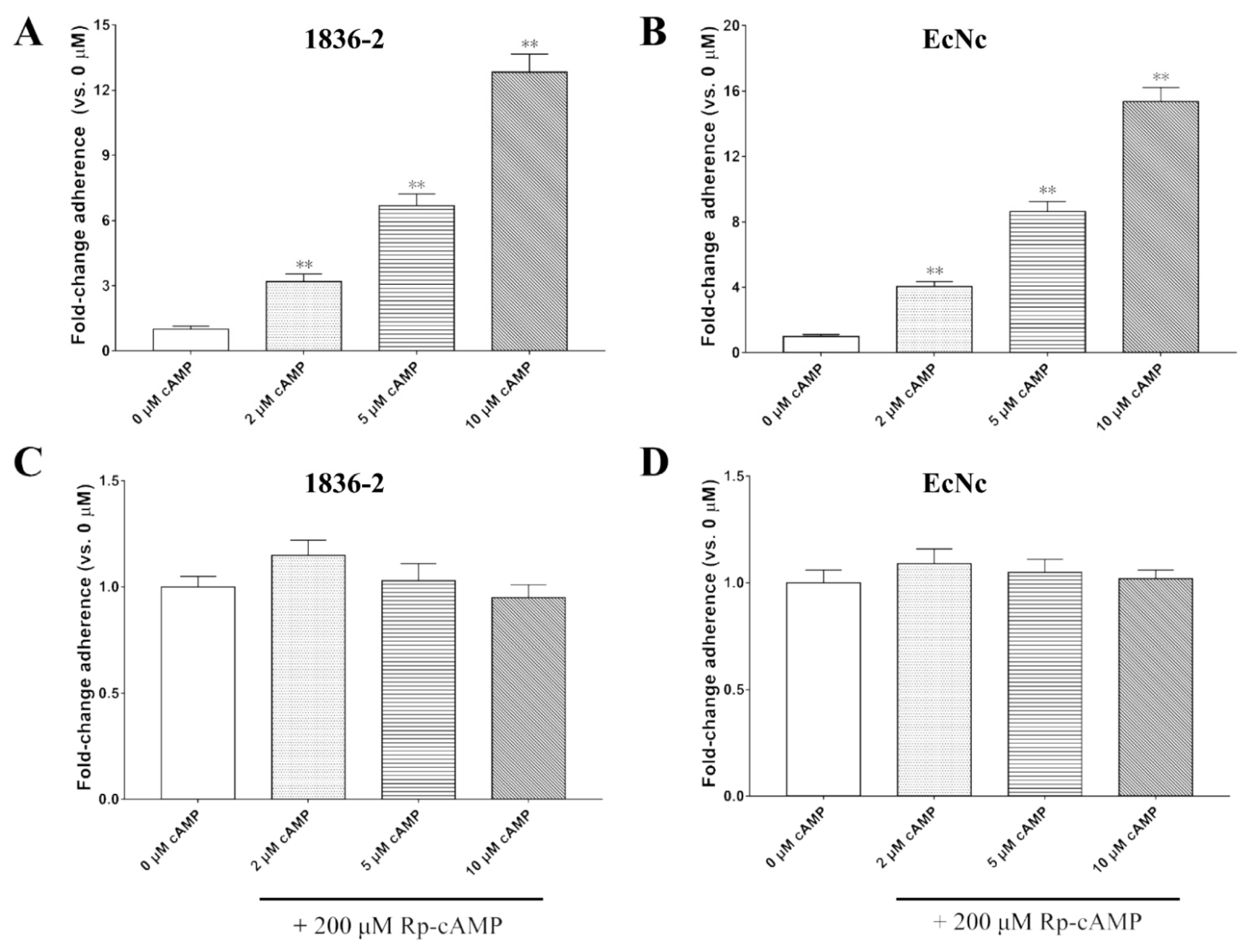 Ijms 24 01245 g004 Ijms 24 01245 g004