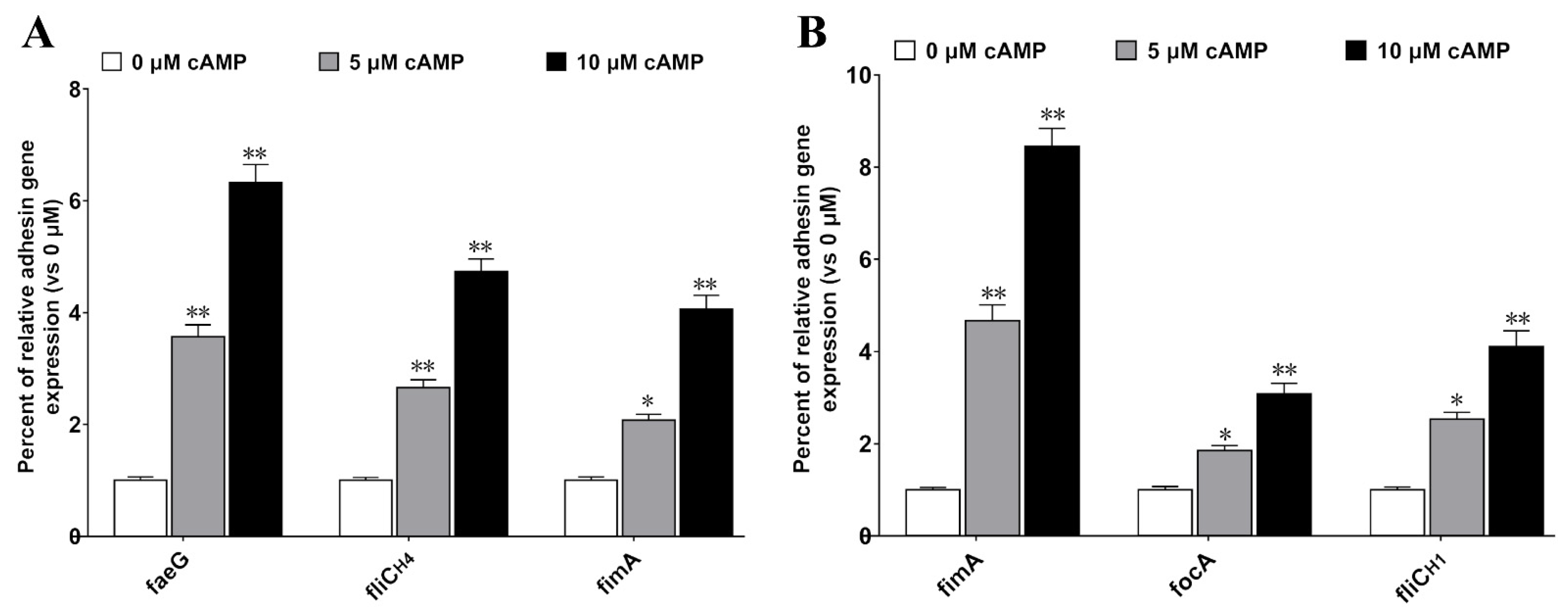 Ijms 24 01245 g005 Ijms 24 01245 g005