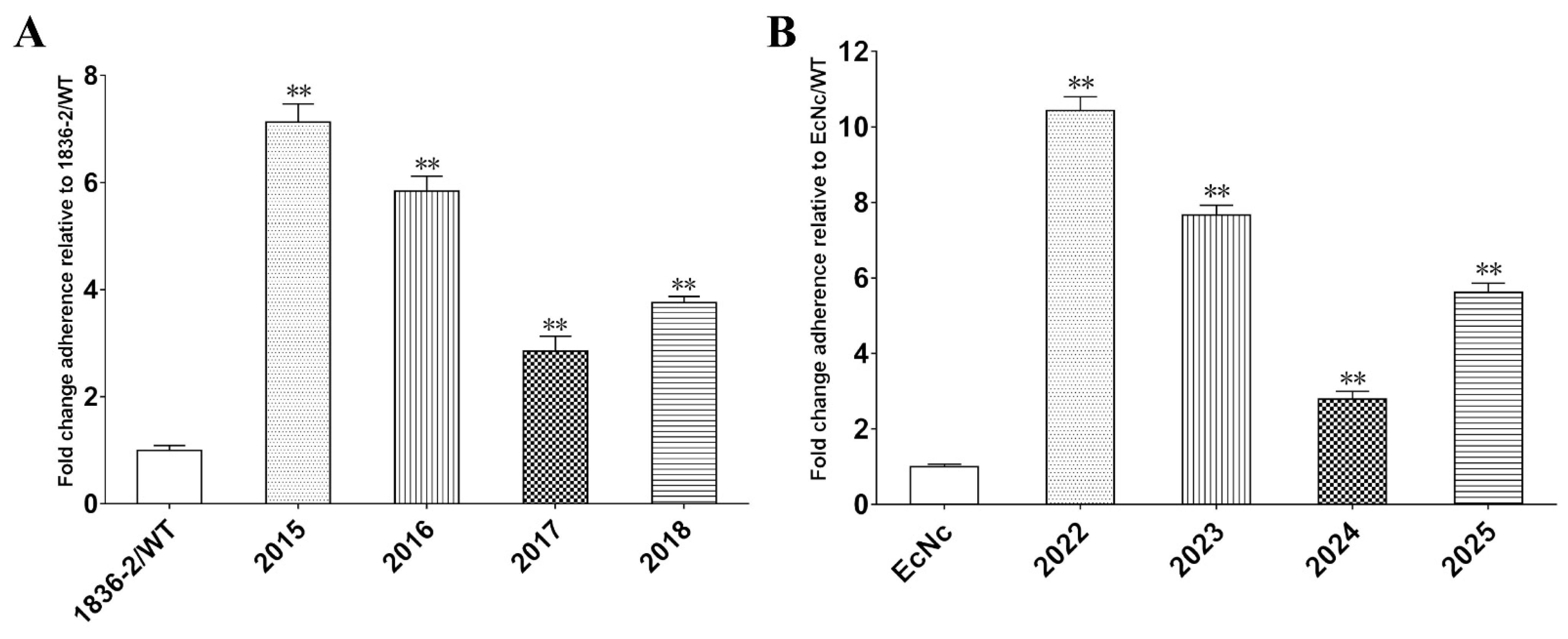 Ijms 24 01245 g006 Ijms 24 01245 g006