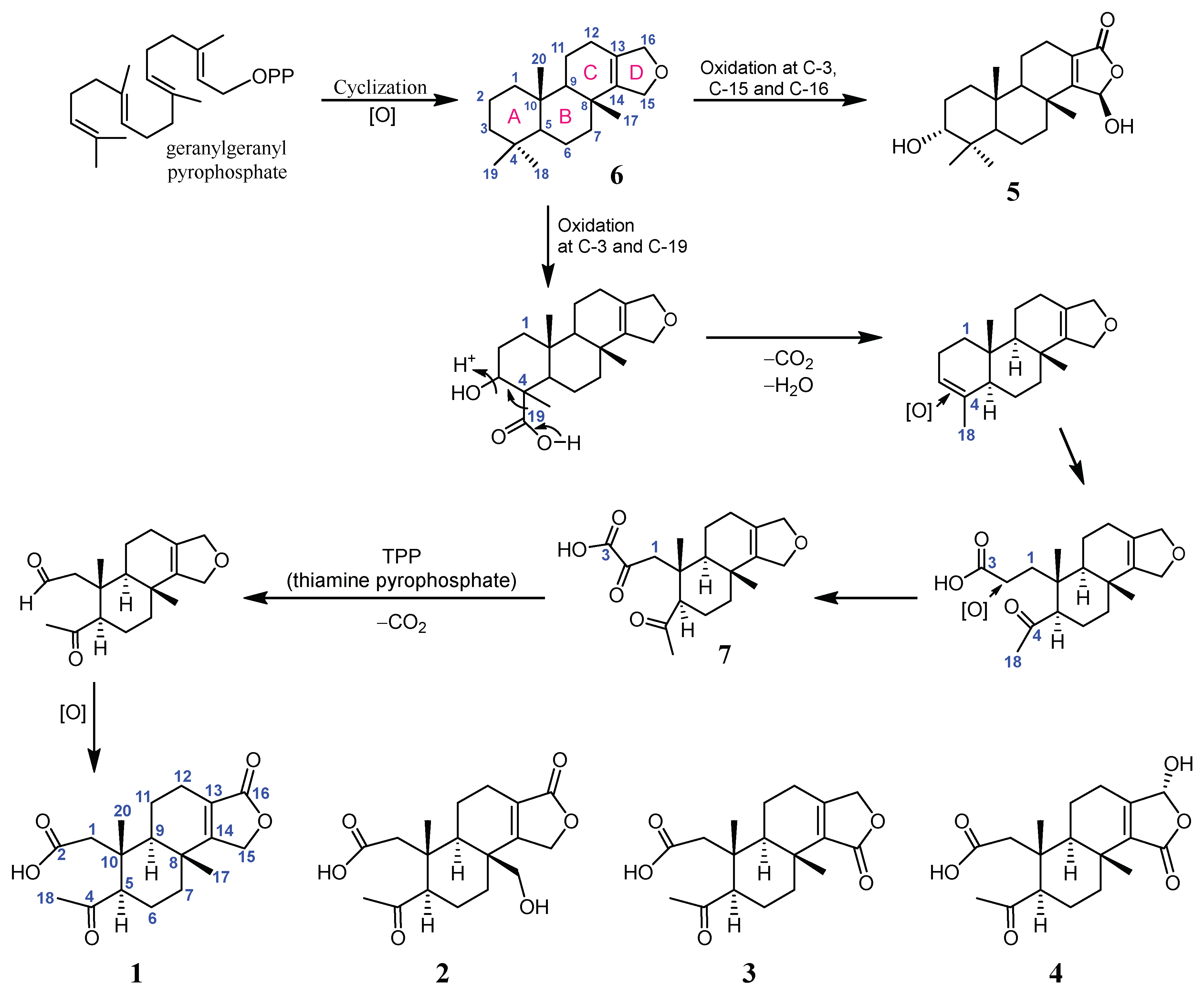 Ijms 24 01252 sch001