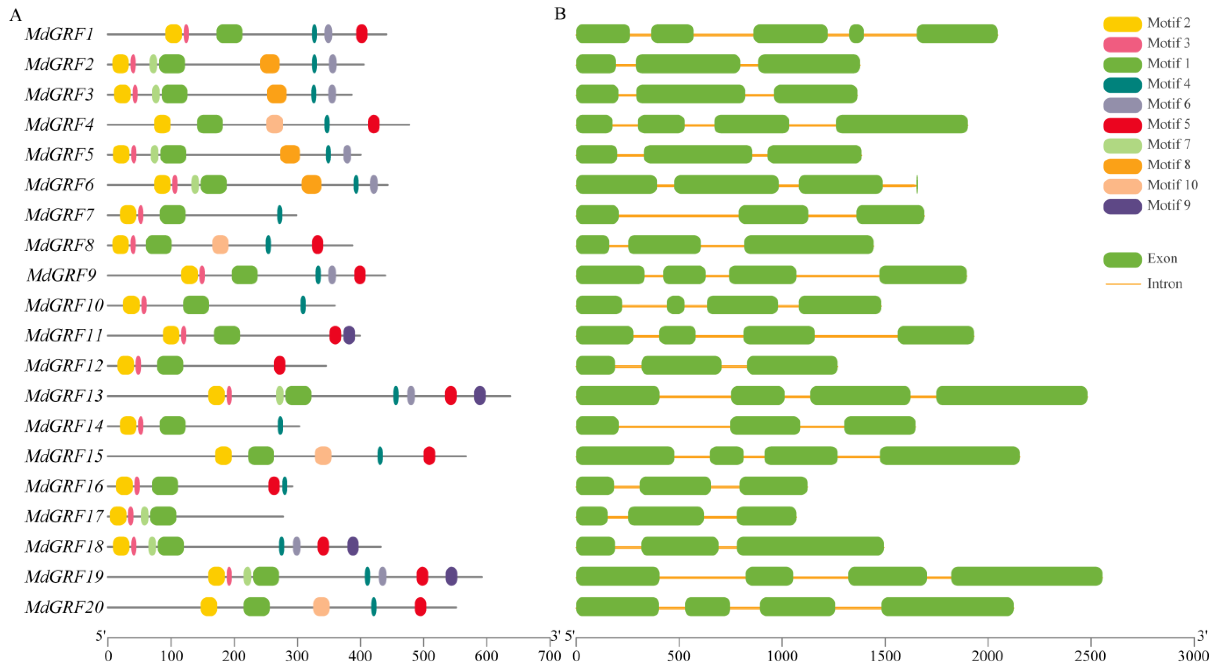 Ijms 24 01261 g002 Ijms 24 01261 g002