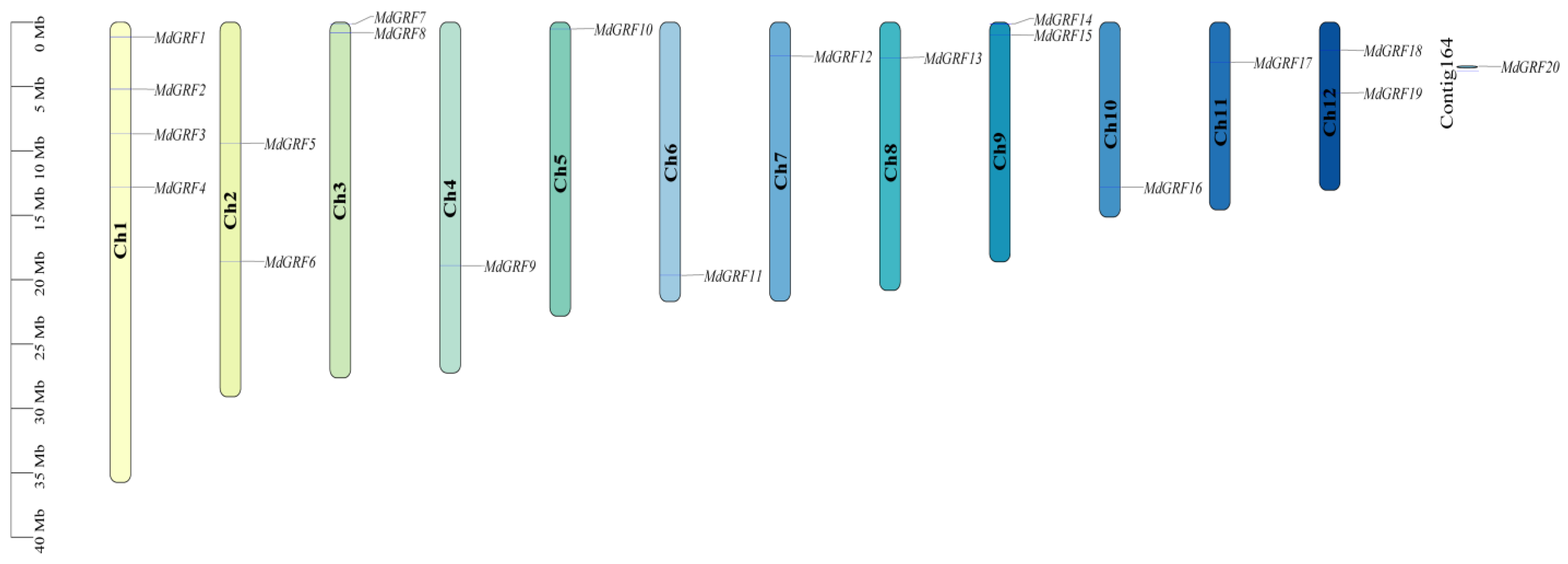 Ijms 24 01261 g005 Ijms 24 01261 g005