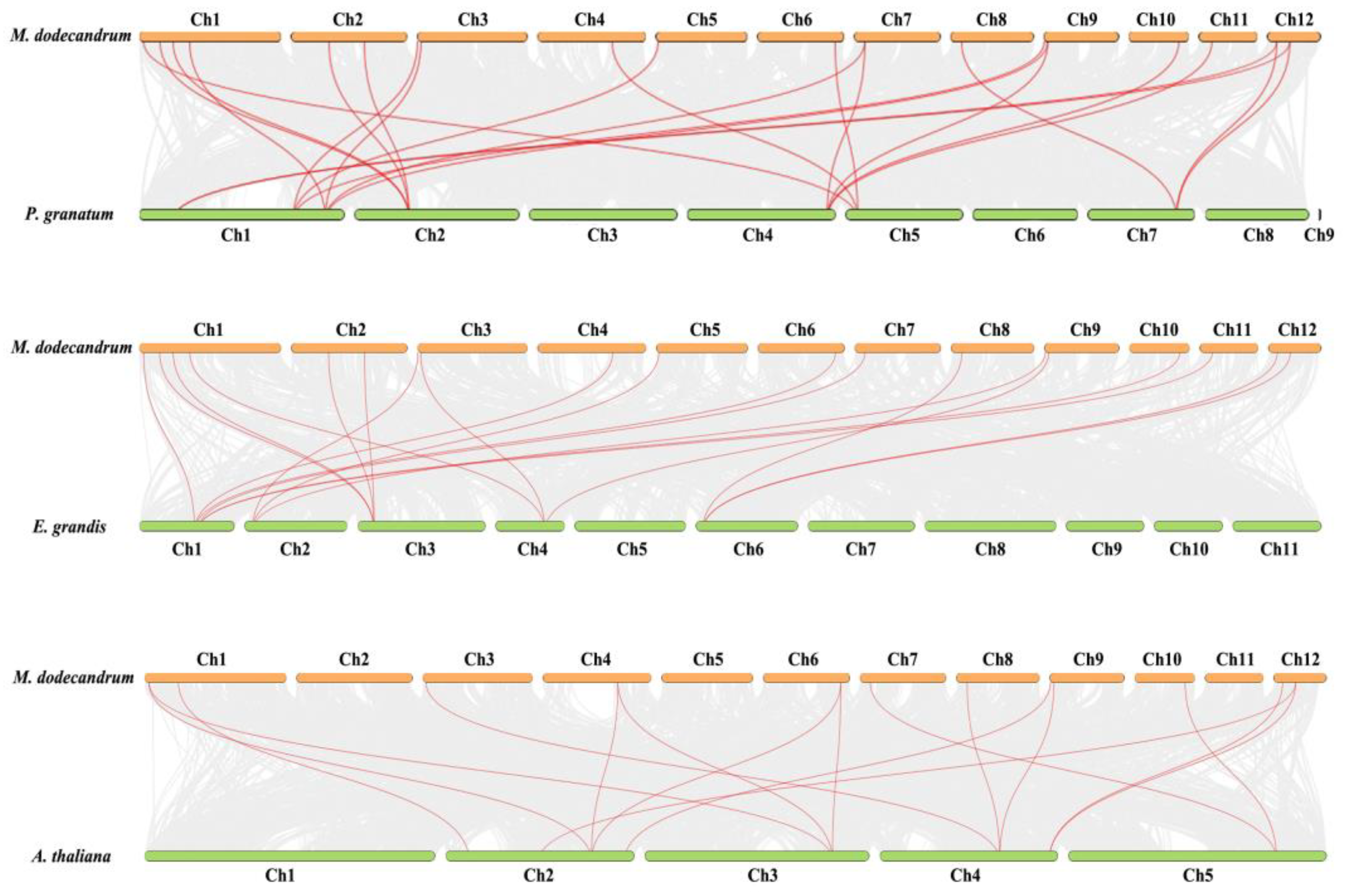 Ijms 24 01261 g006 Ijms 24 01261 g006