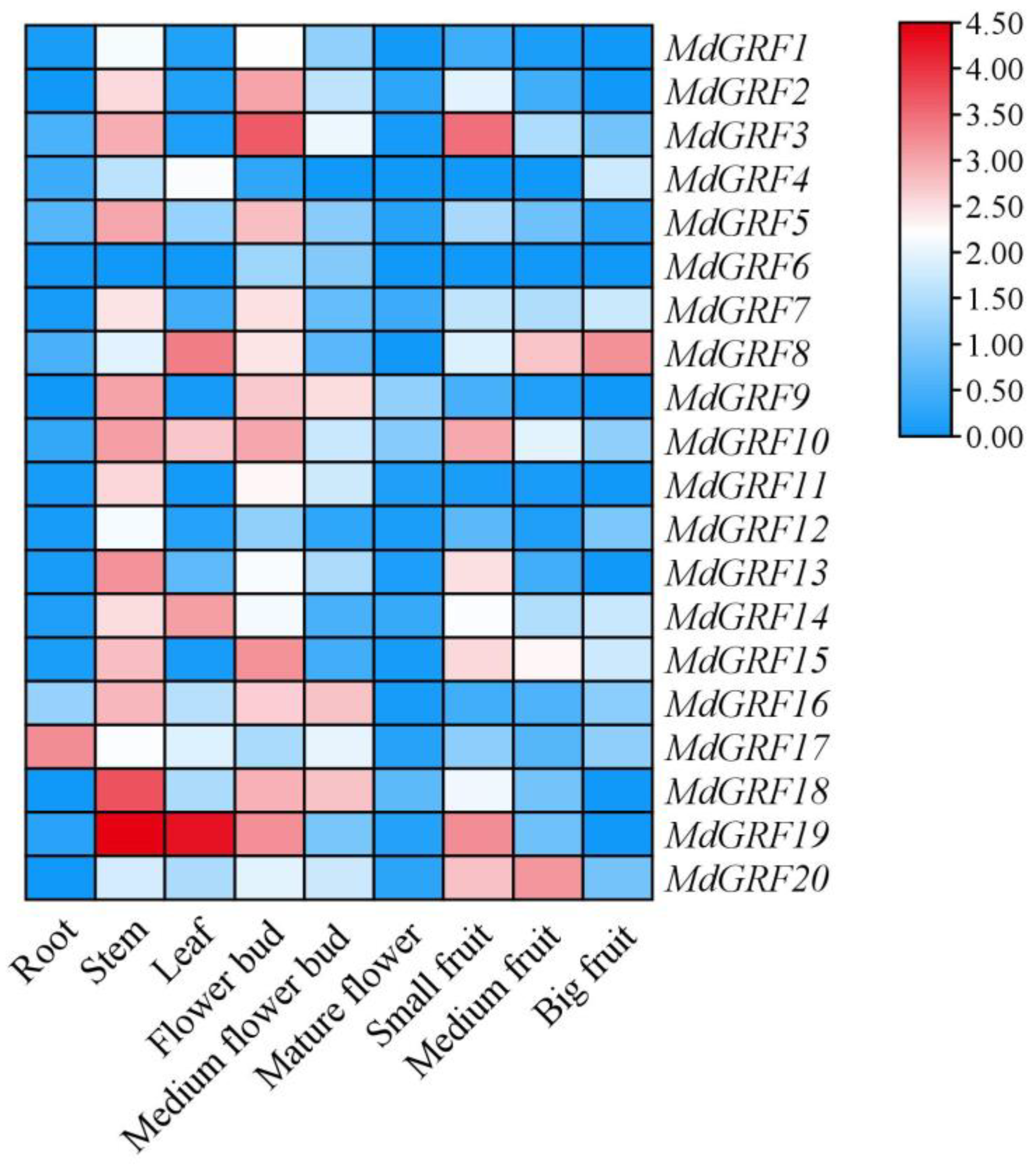 Ijms 24 01261 g007 Ijms 24 01261 g007