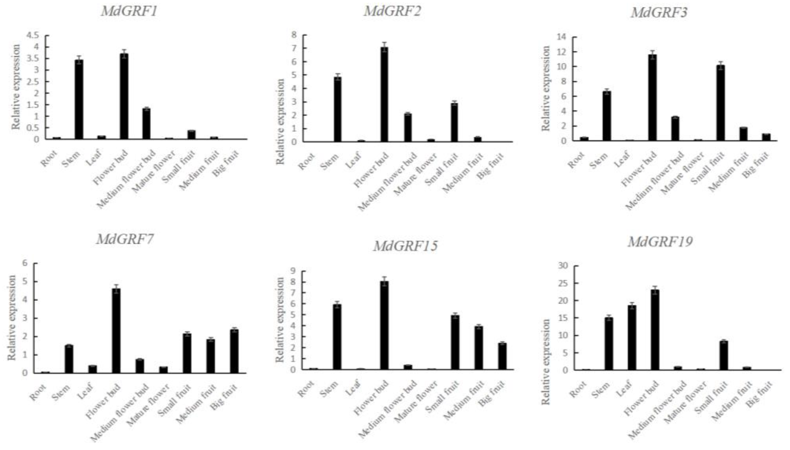 Ijms 24 01261 g008 Ijms 24 01261 g008