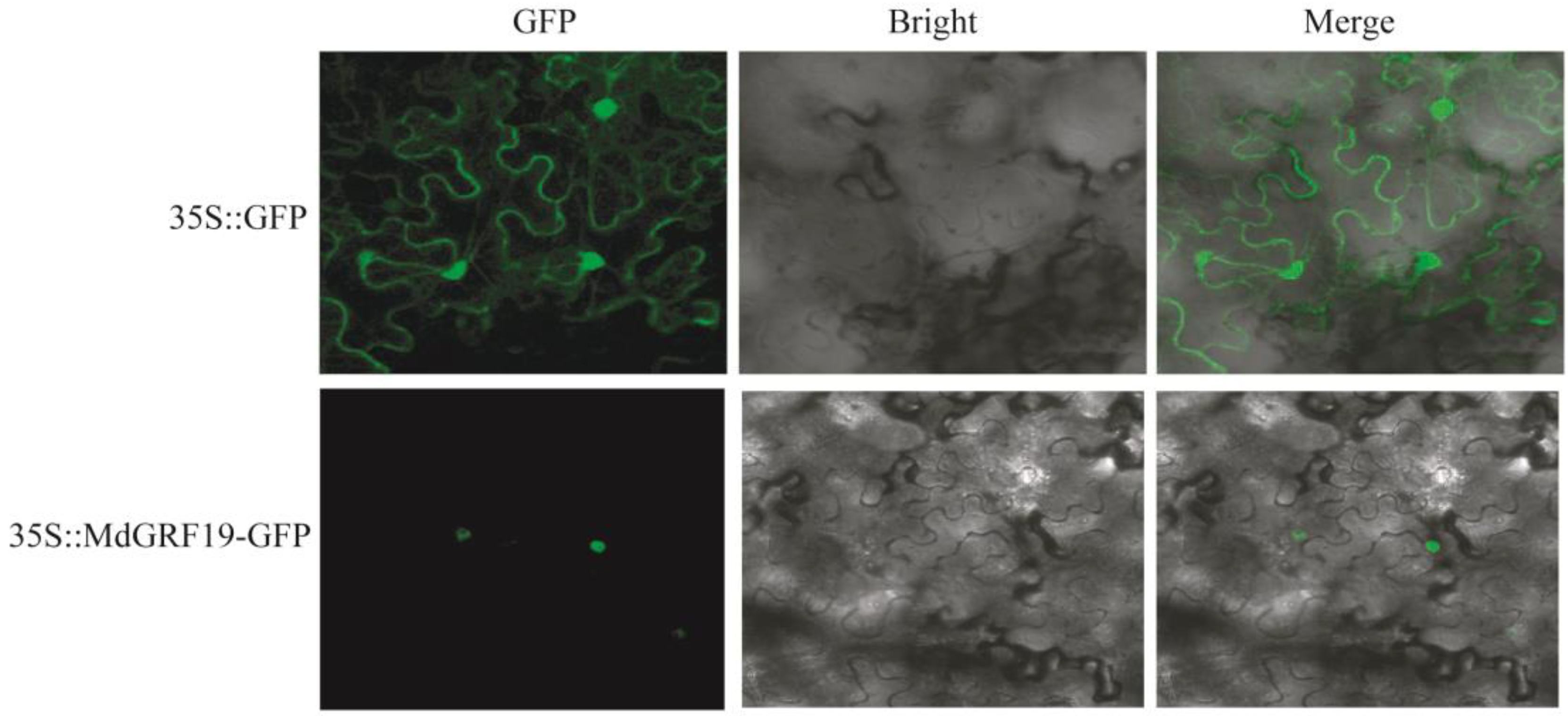 Ijms 24 01261 g009 Ijms 24 01261 g009