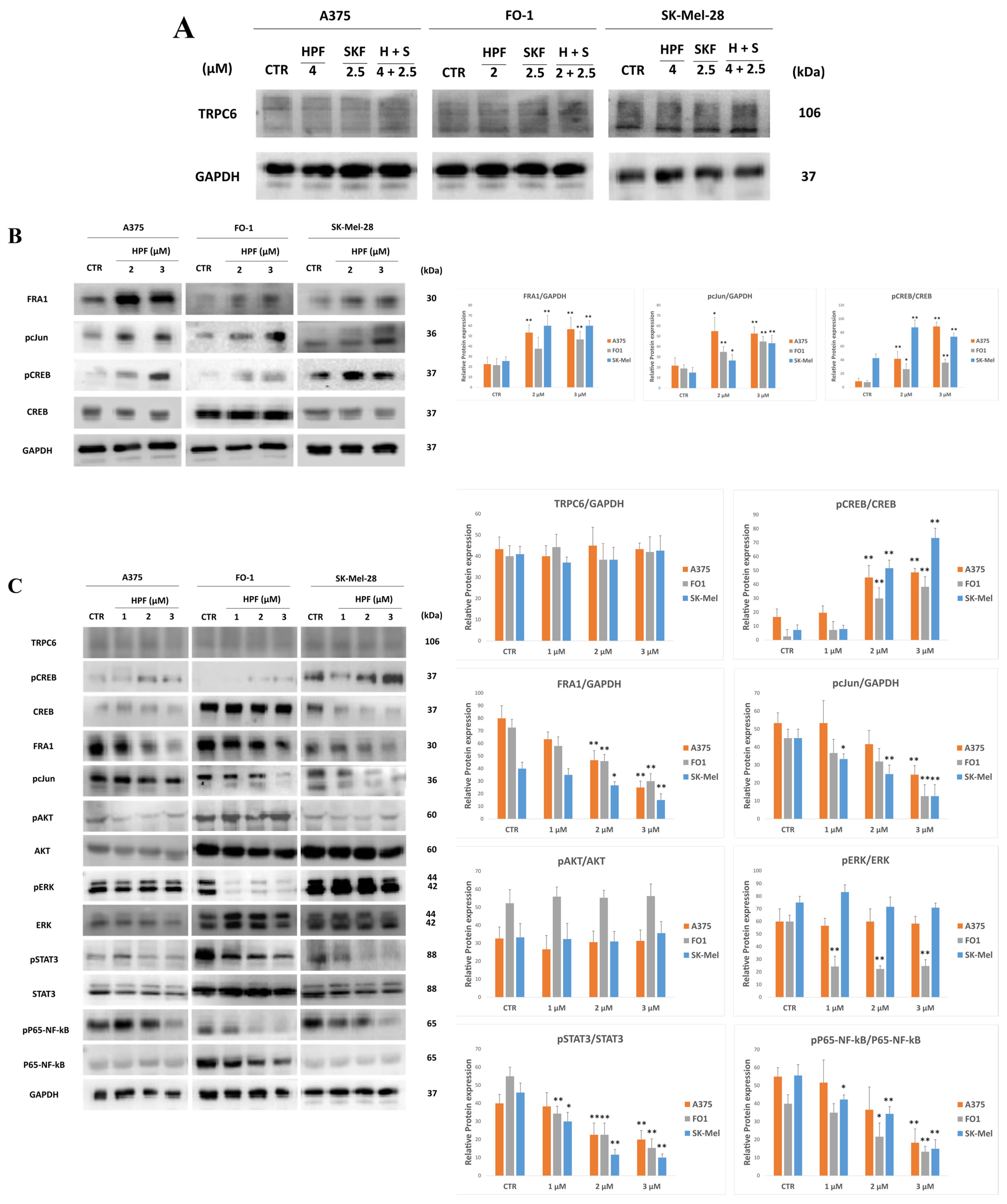 Ijms 24 01263 g006 Ijms 24 01263 g006