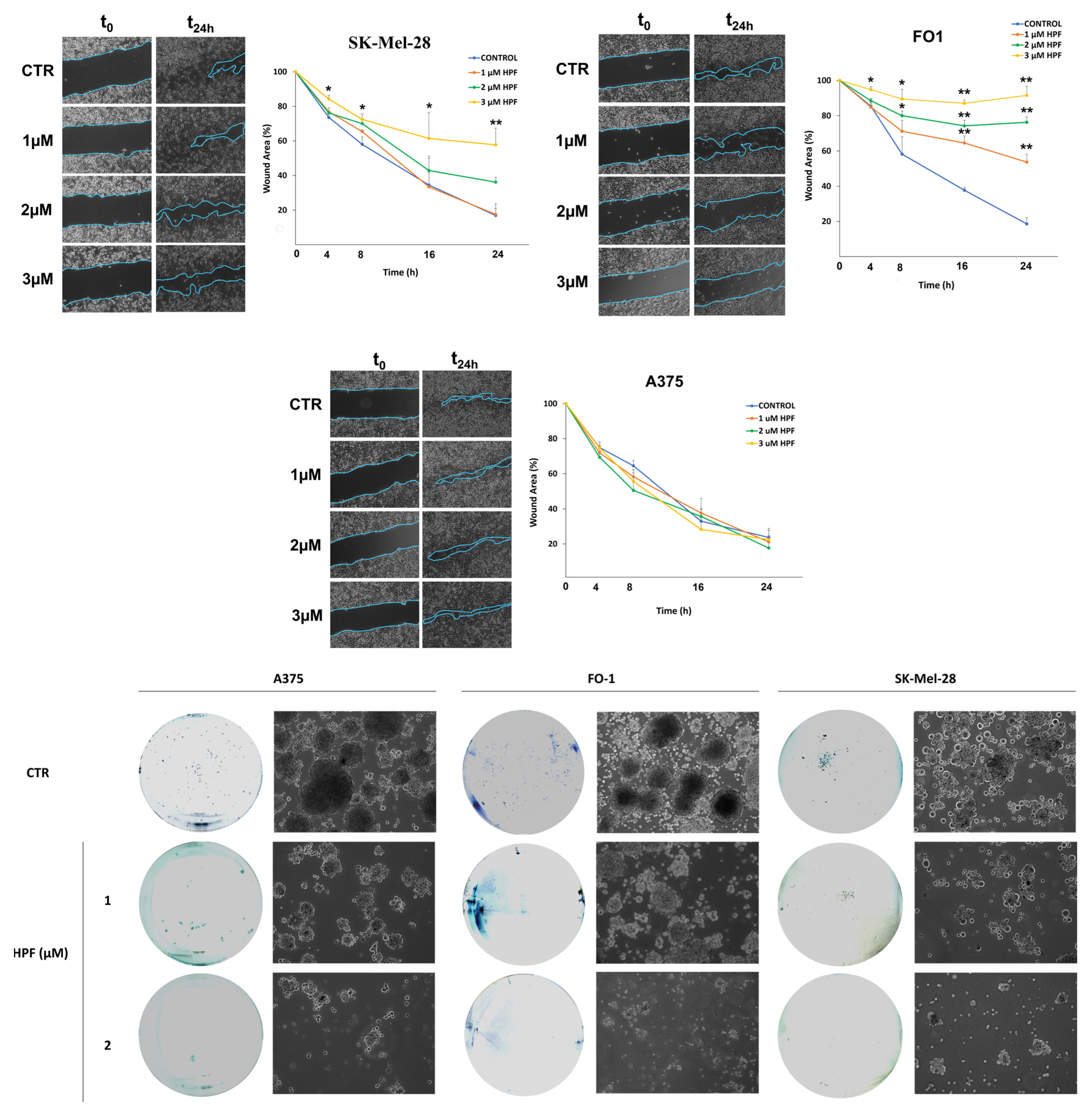 Ijms 24 01263 g008 Ijms 24 01263 g008