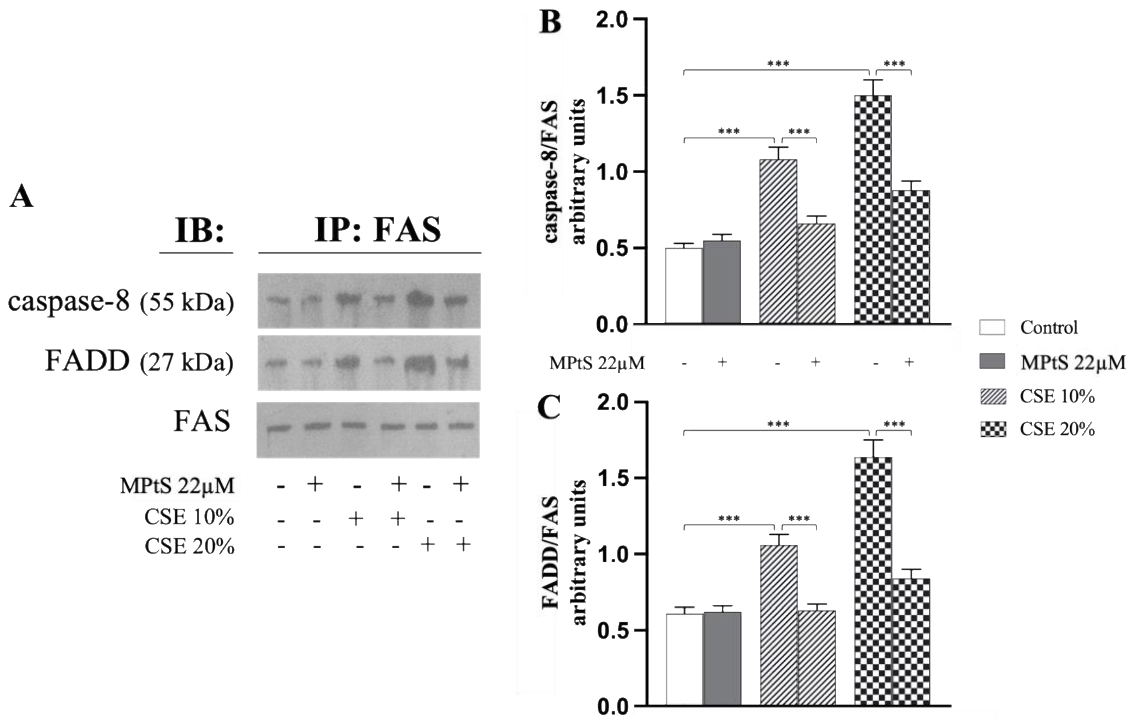 Ijms 24 01264 g004 Ijms 24 01264 g004