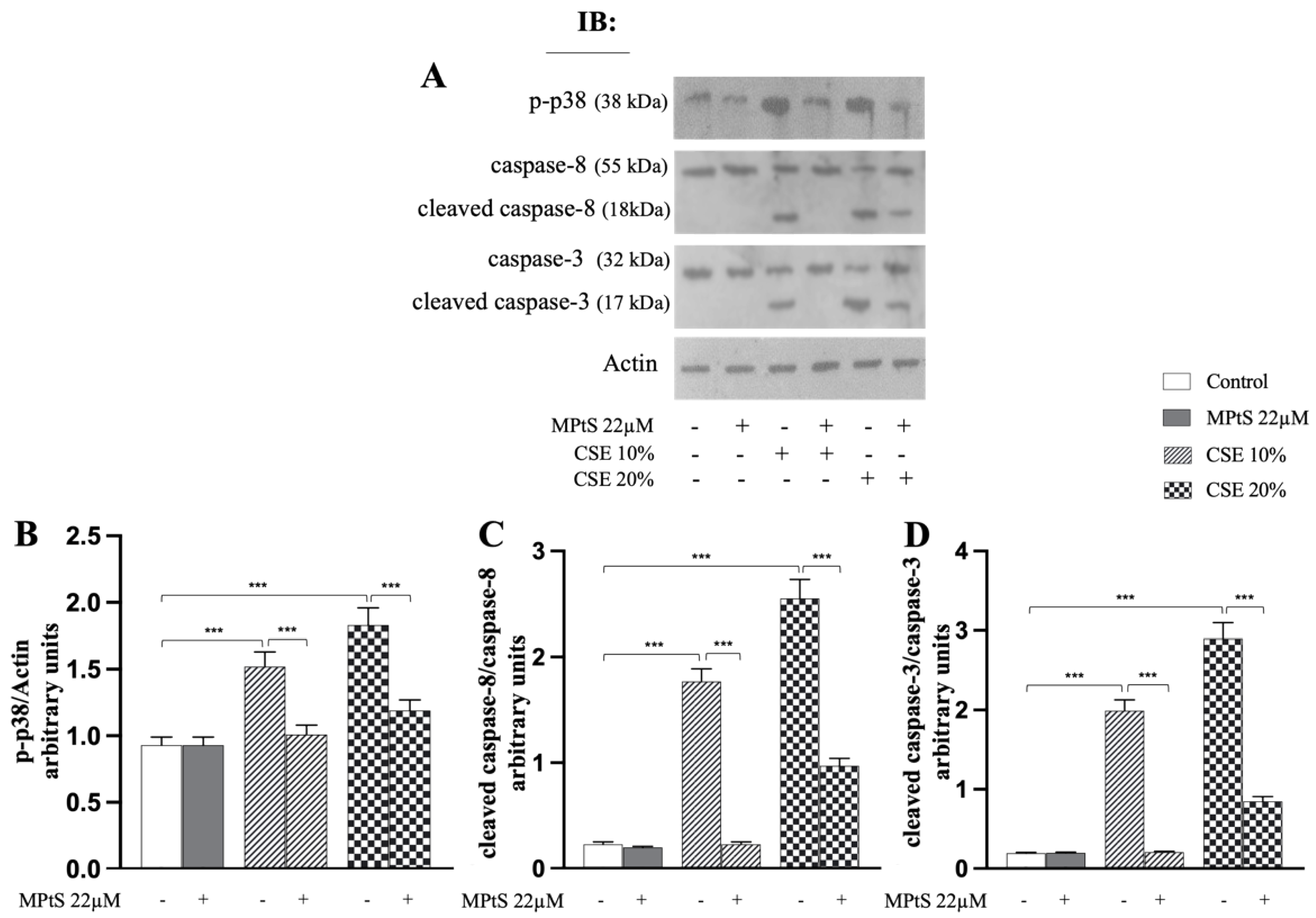 Ijms 24 01264 g005 Ijms 24 01264 g005