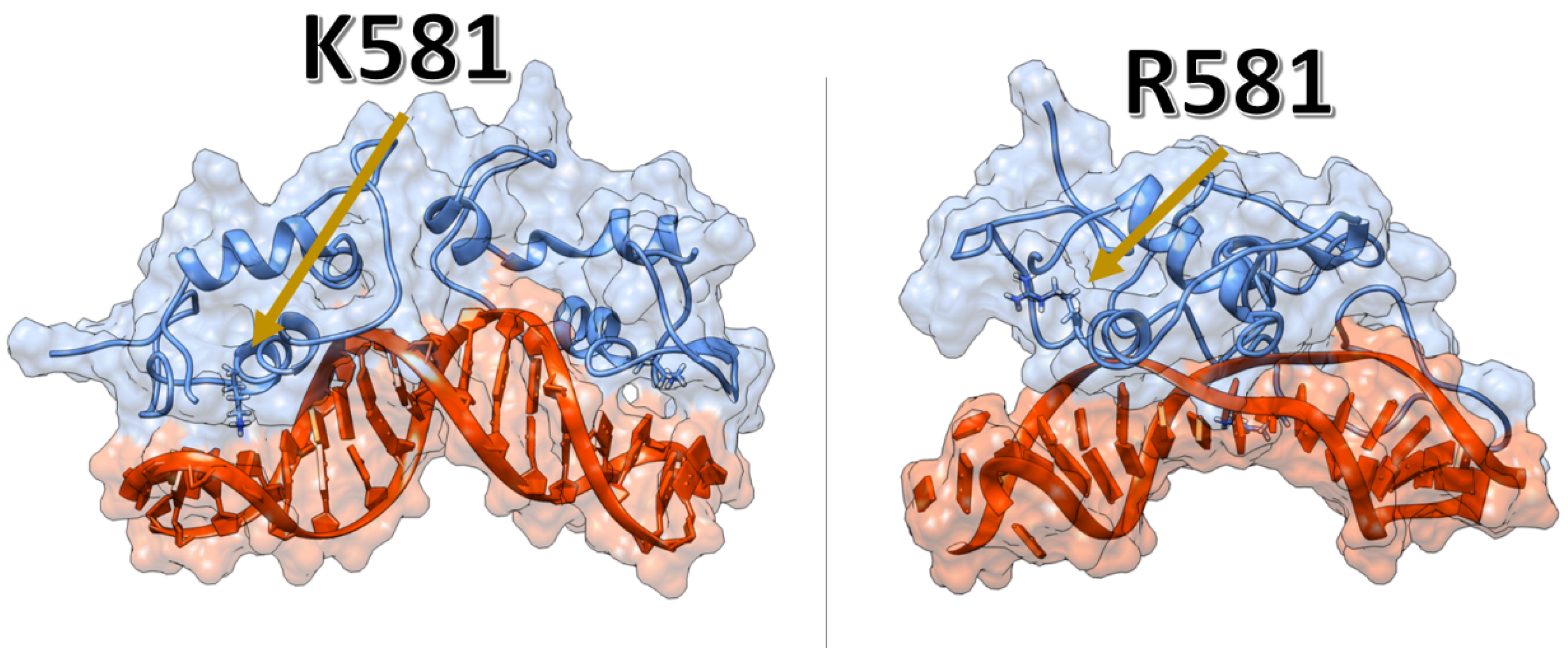 Ijms 24 01270 g005 Ijms 24 01270 g005
