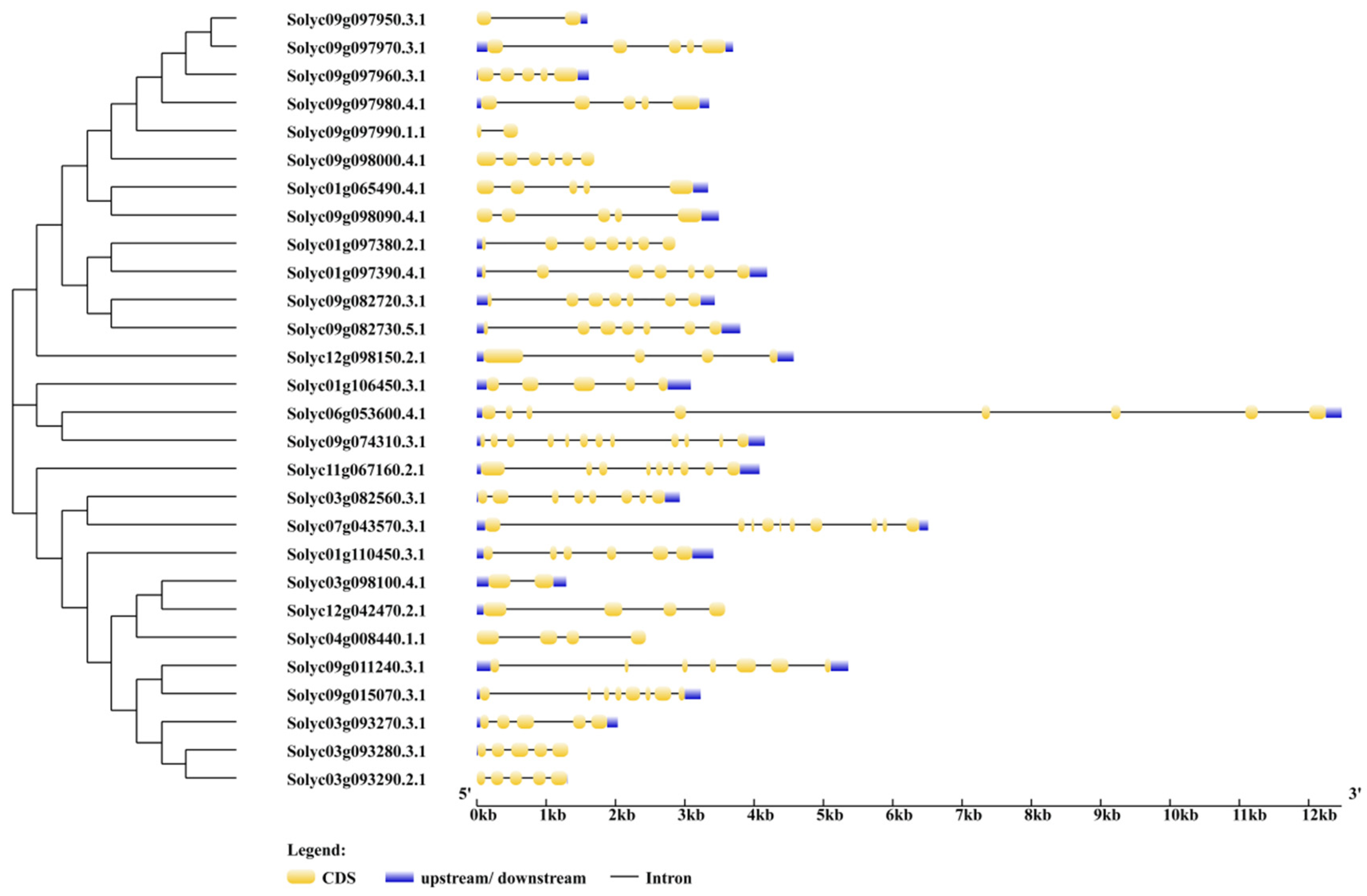 Ijms 24 01272 g002 Ijms 24 01272 g002
