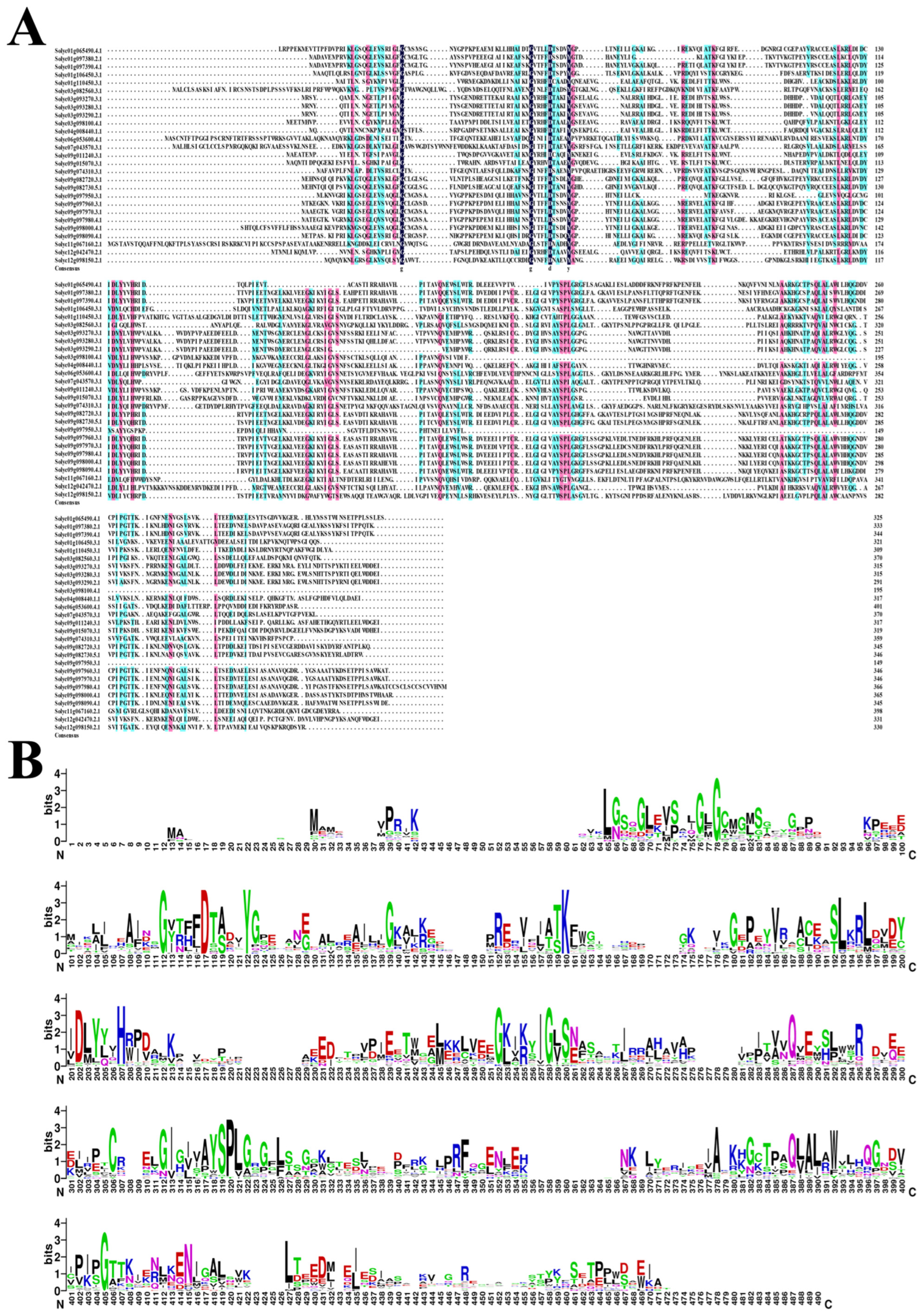 Ijms 24 01272 g003 Ijms 24 01272 g003