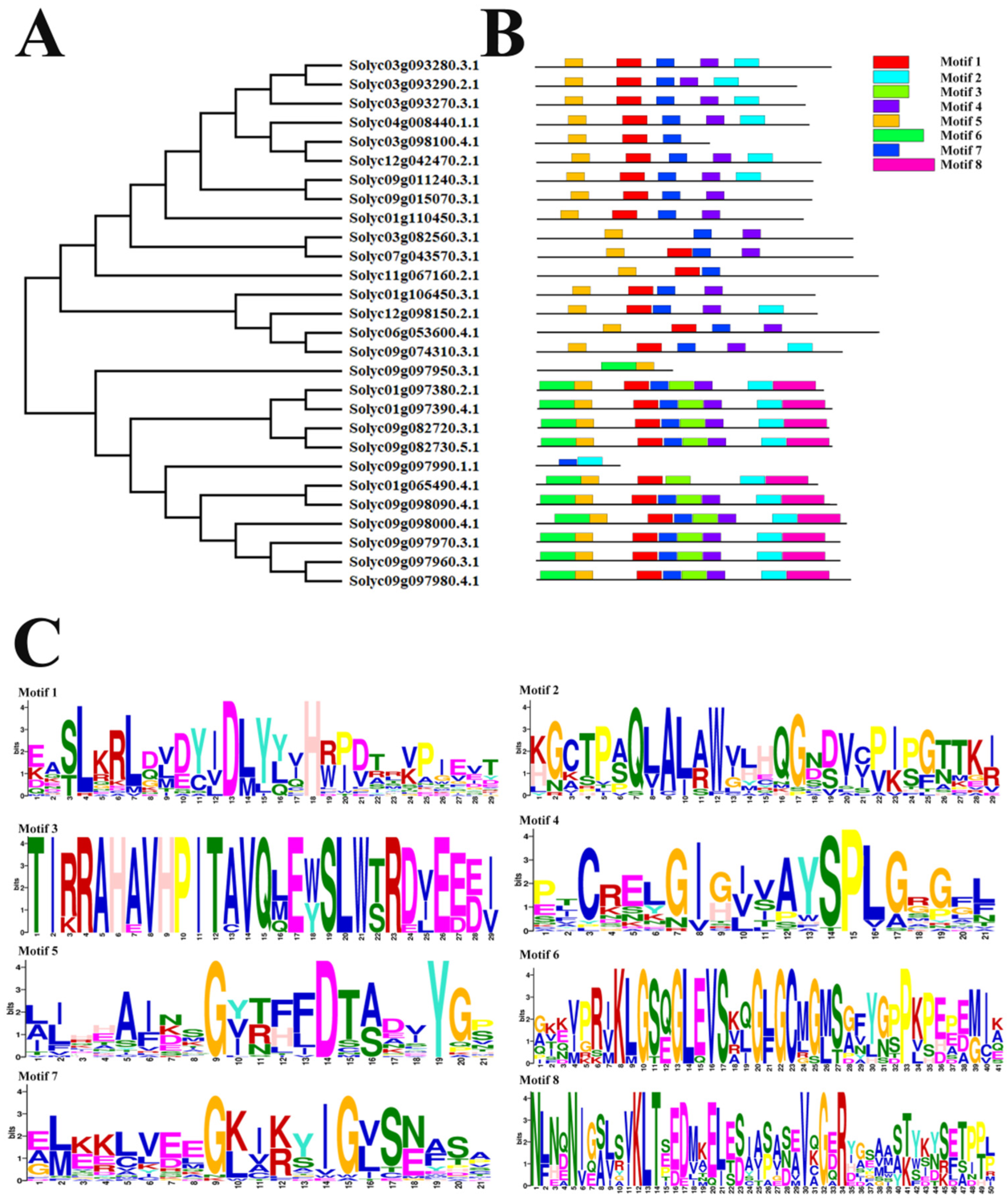 Ijms 24 01272 g004 Ijms 24 01272 g004