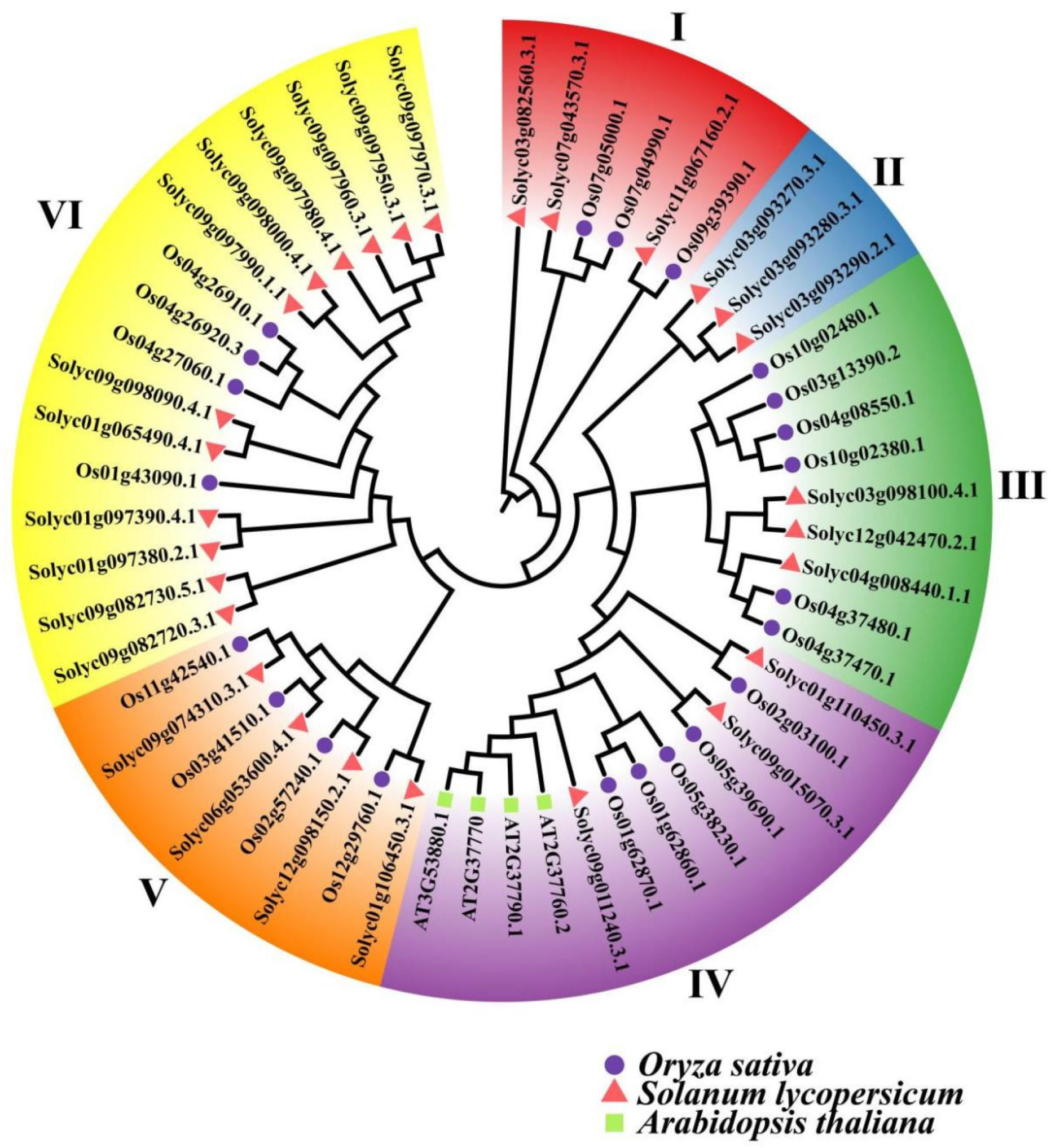 Ijms 24 01272 g005 Ijms 24 01272 g005