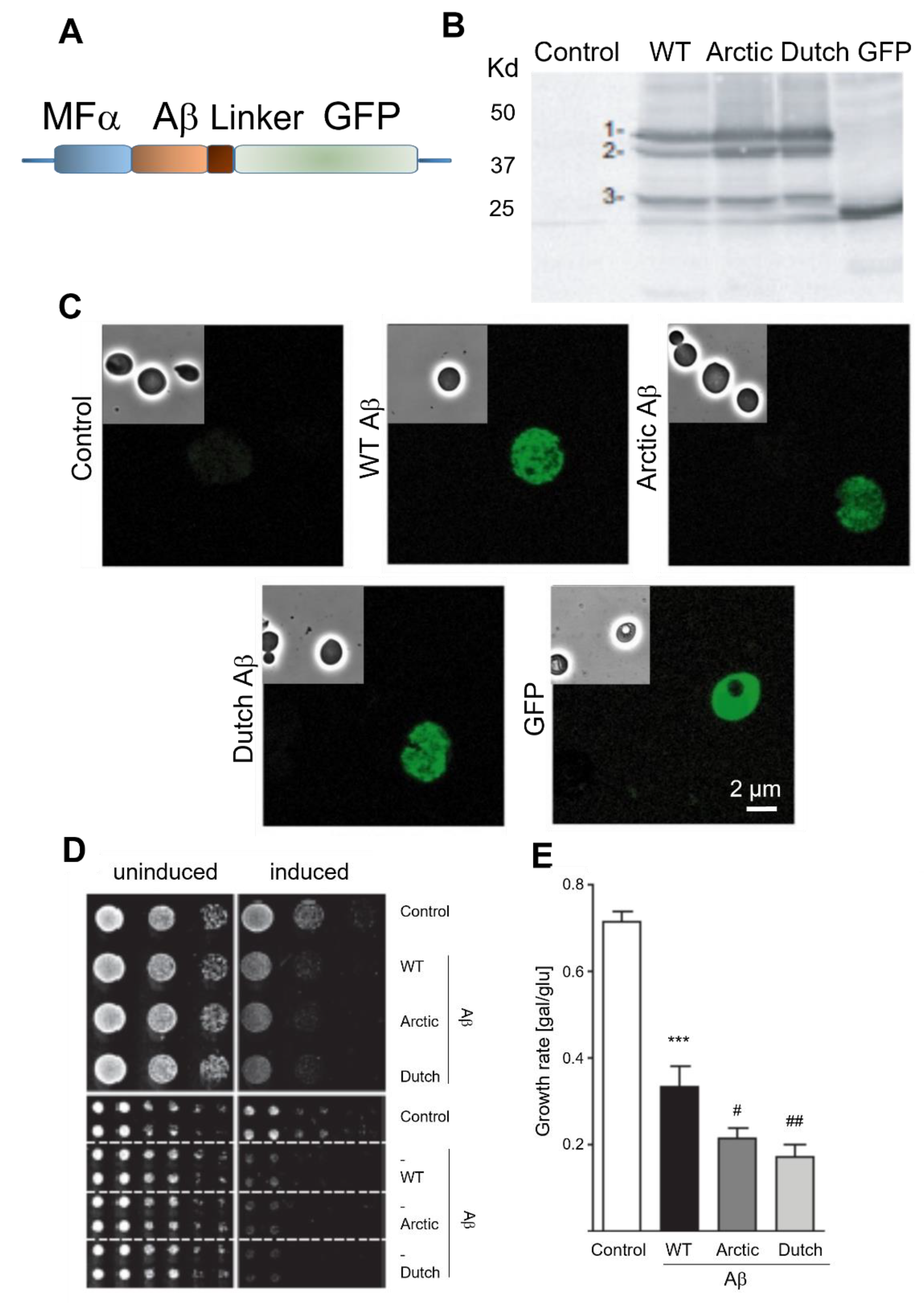 Ijms 24 01278 g002 Ijms 24 01278 g002