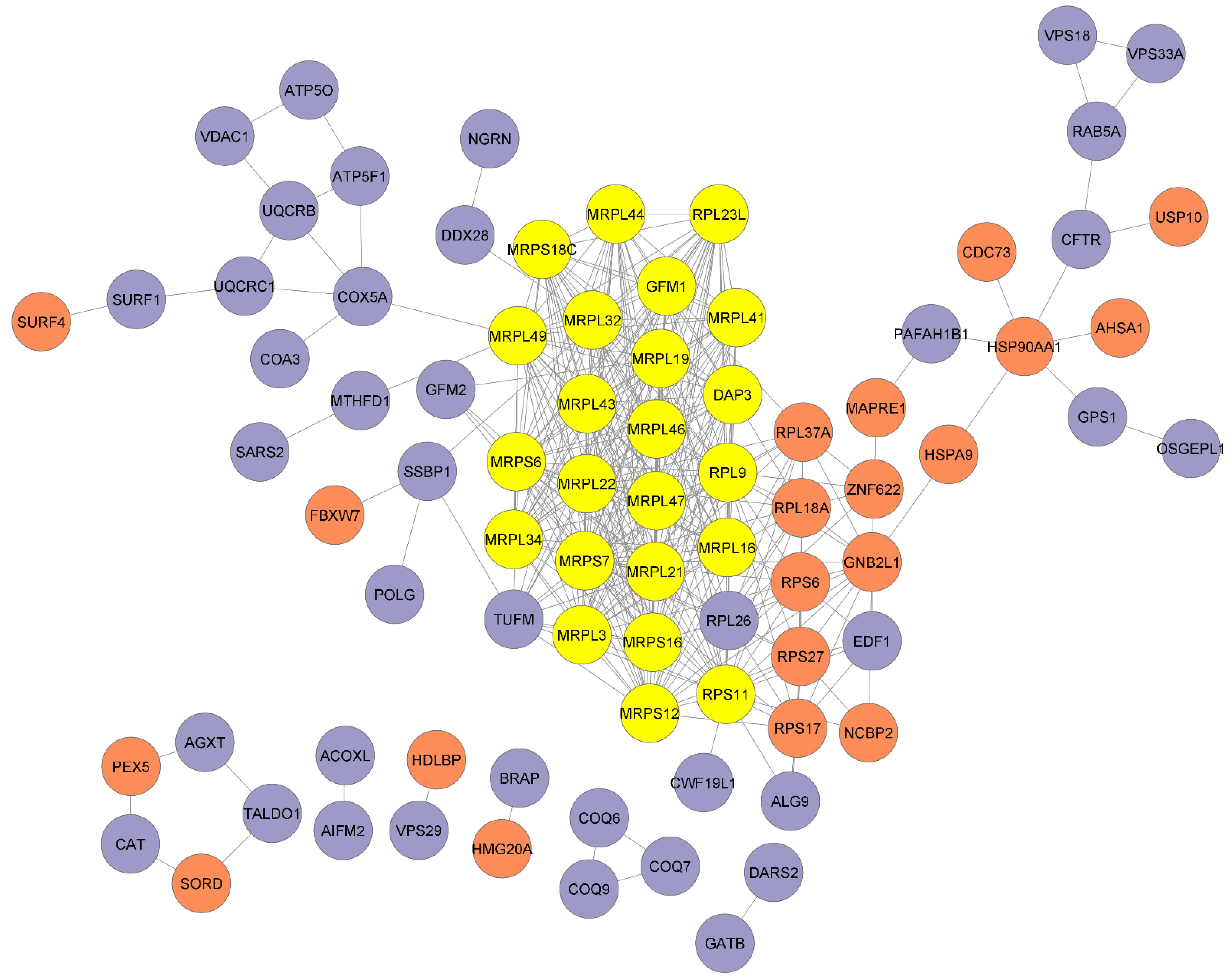 Ijms 24 01278 g004 Ijms 24 01278 g004