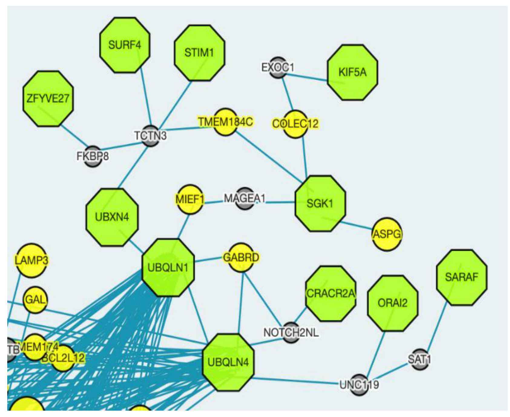 Ijms 24 01278 g005 Ijms 24 01278 g005