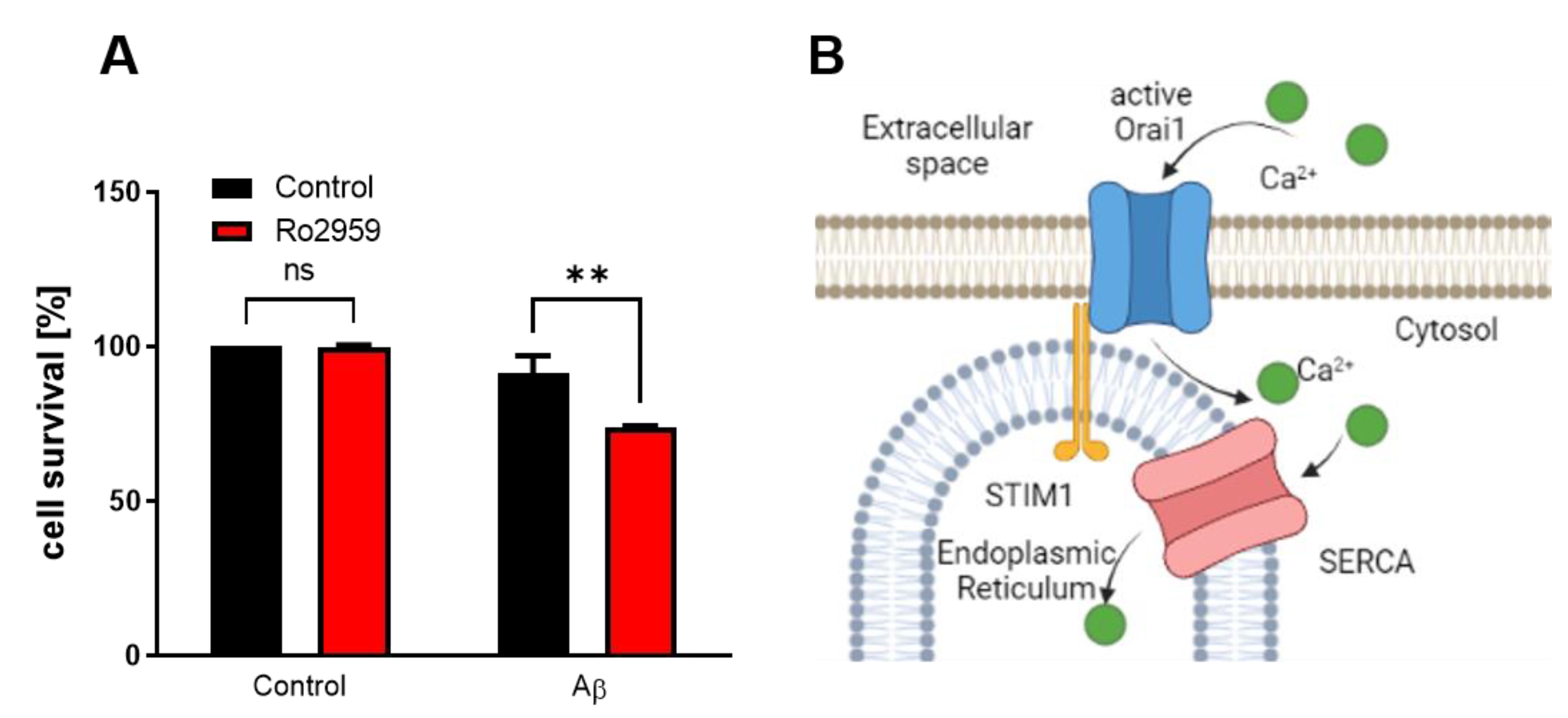Ijms 24 01278 g008 Ijms 24 01278 g008