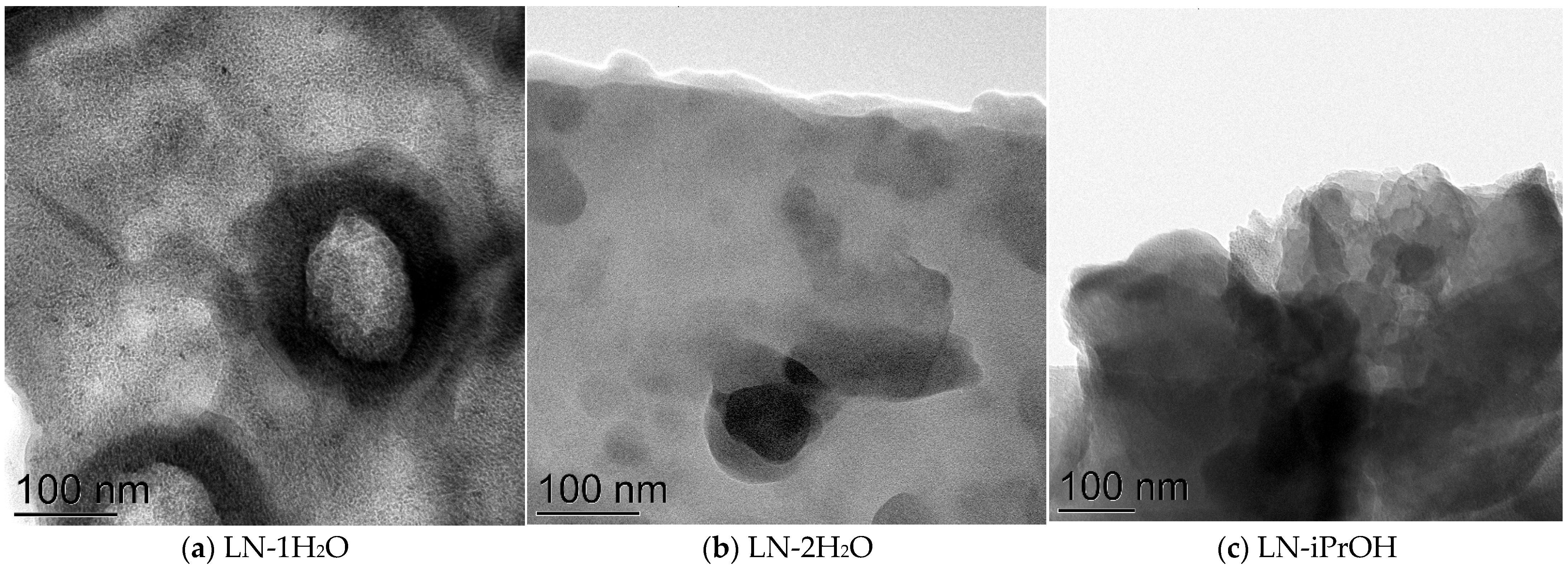 Ijms 24 01279 g002a Ijms 24 01279 g002a