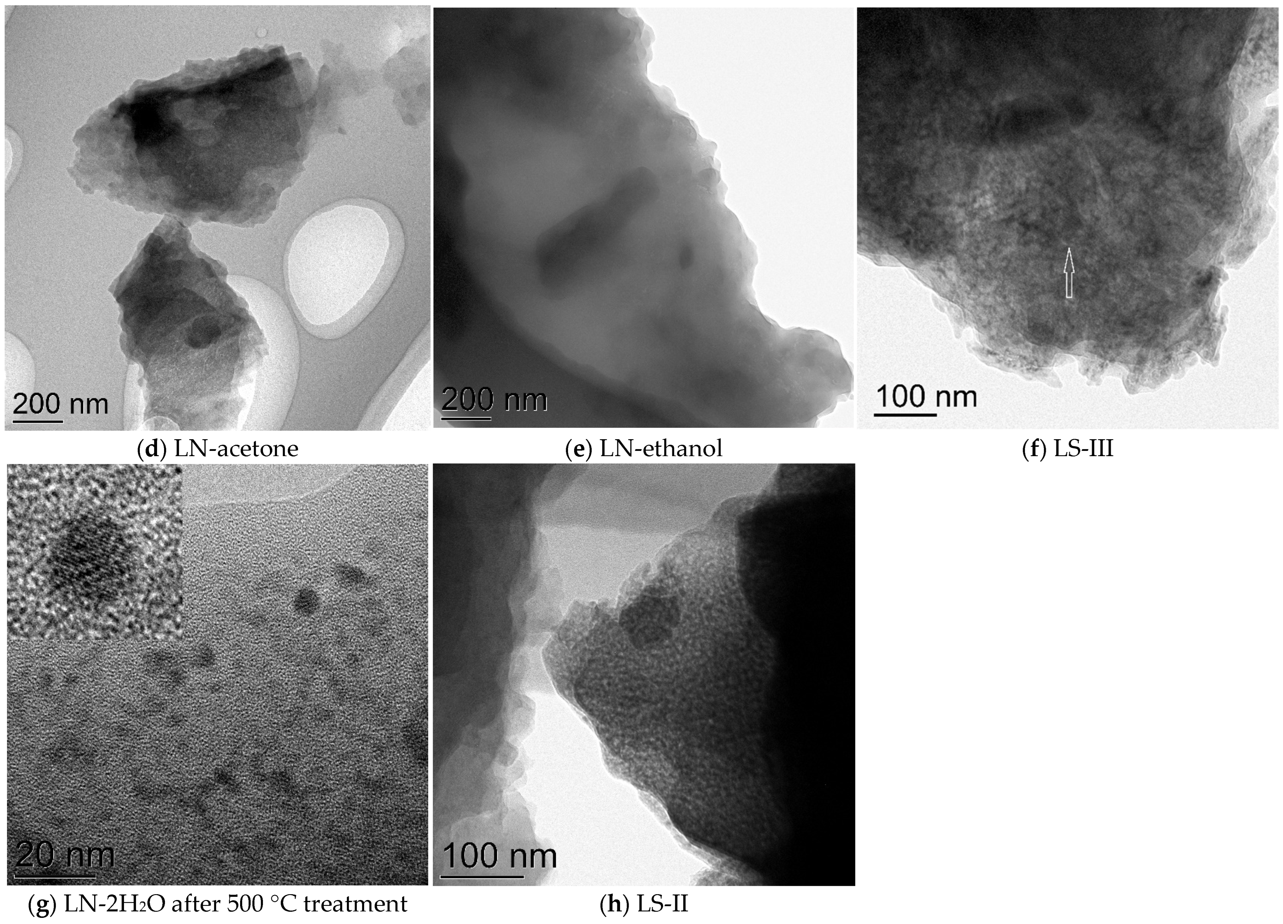 Ijms 24 01279 g002b Ijms 24 01279 g002b