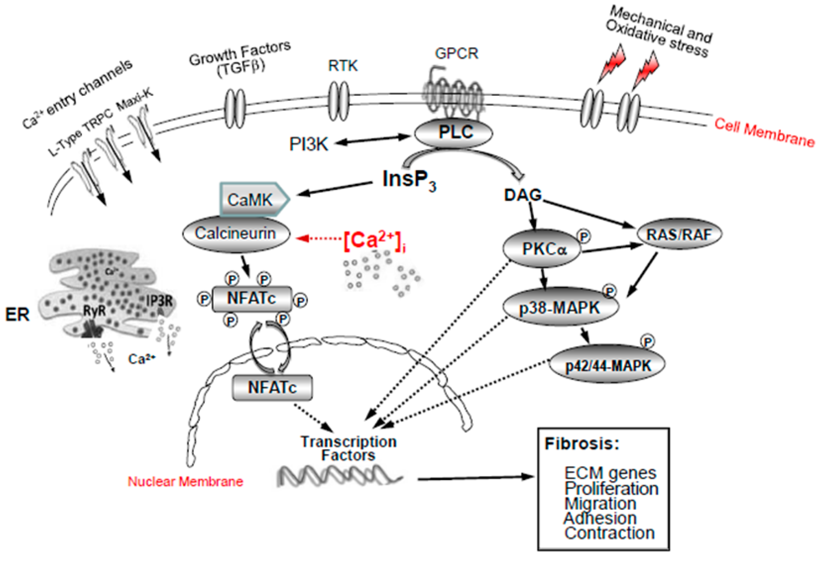 Ijms 24 01287 g004 Ijms 24 01287 g004