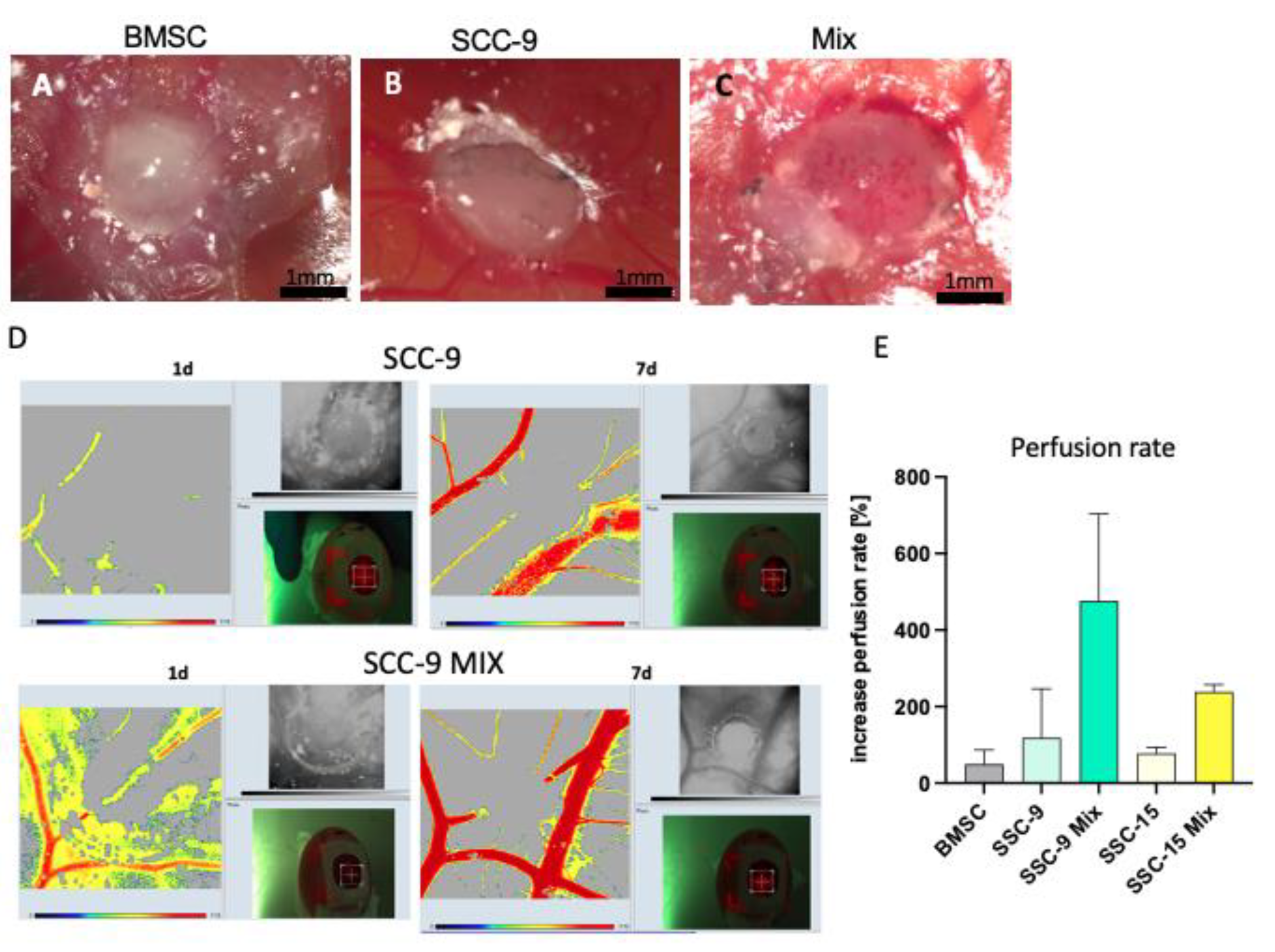 Ijms 24 01293 g001 Ijms 24 01293 g001