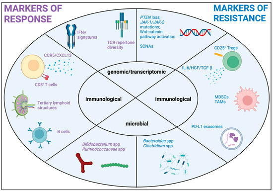 Shaping the Future of Immunotherapy Targets and Biomarkers in Melanoma ...
