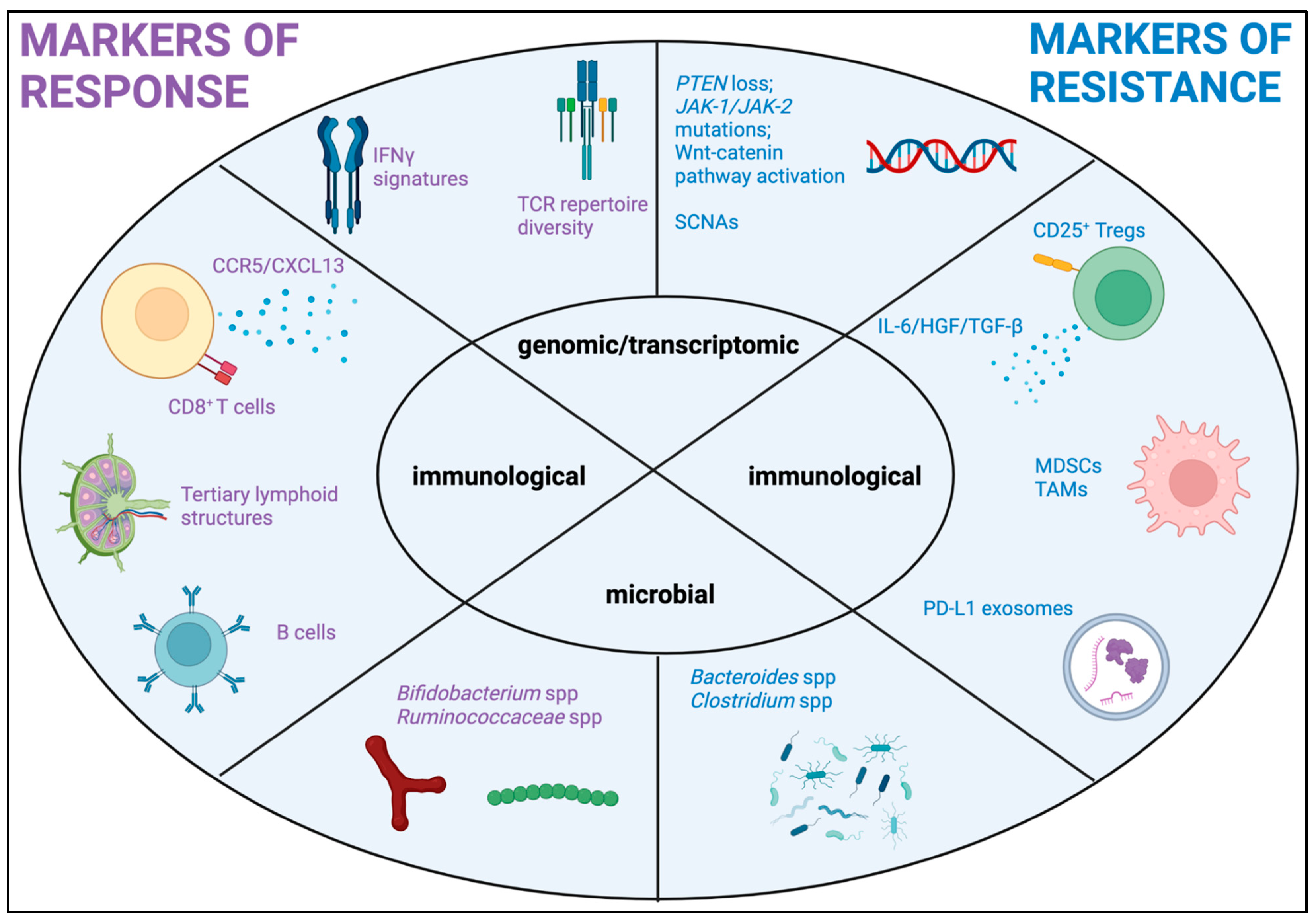 Ijms 24 01294 g002 Ijms 24 01294 g002