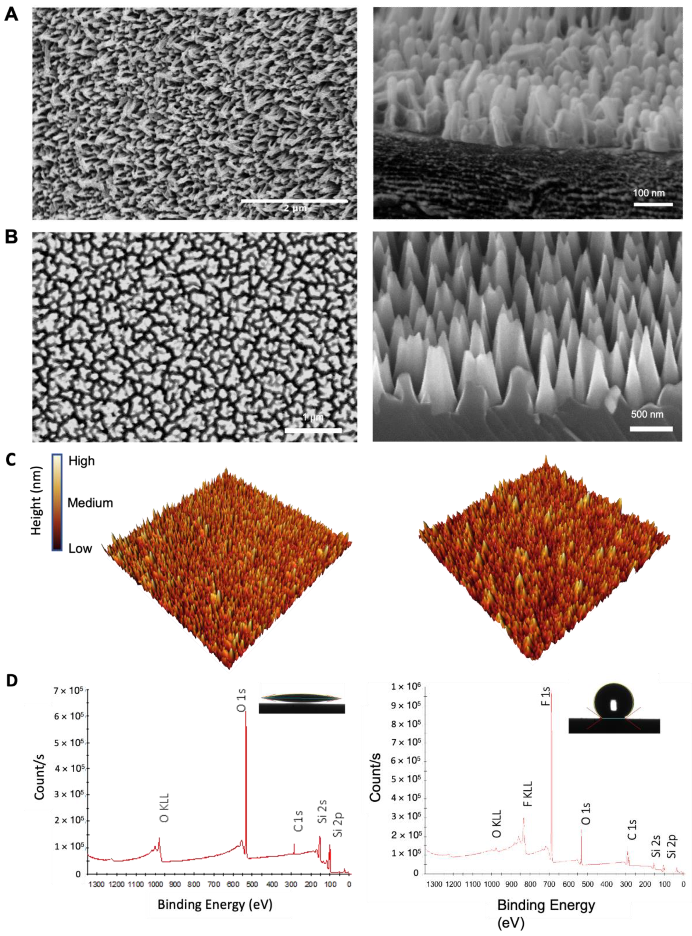 Ijms 24 01298 g001 Ijms 24 01298 g001