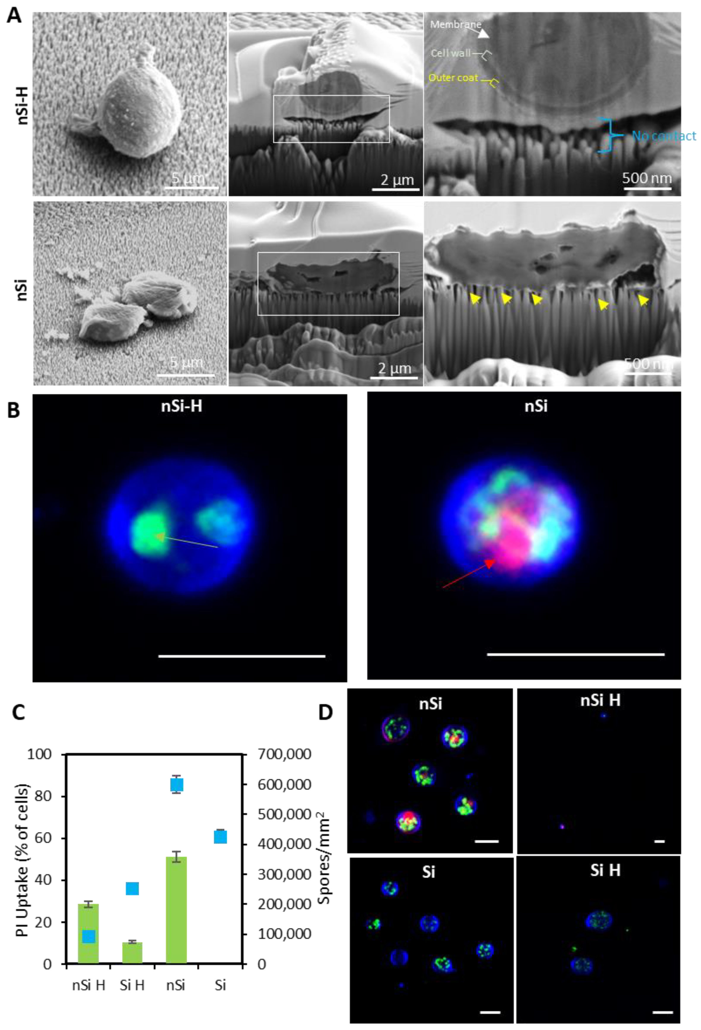 Ijms 24 01298 g002 Ijms 24 01298 g002