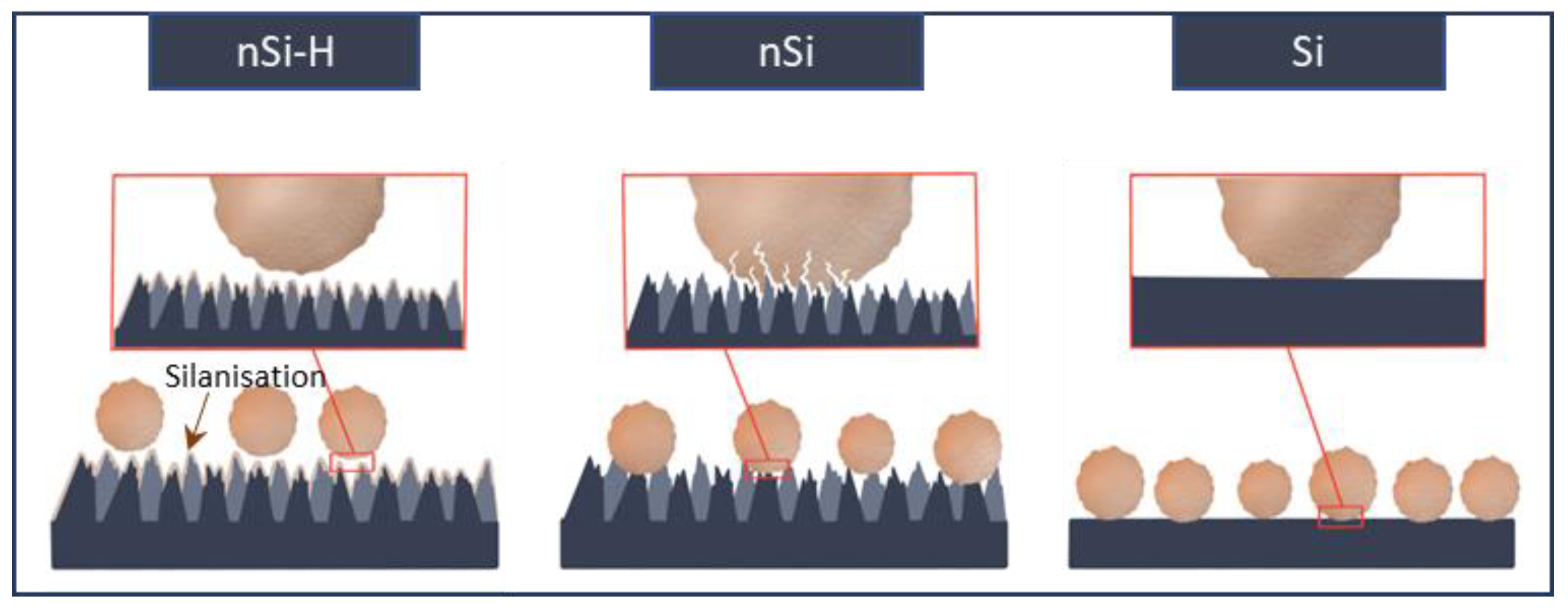 Ijms 24 01298 sch001 Ijms 24 01298 sch001